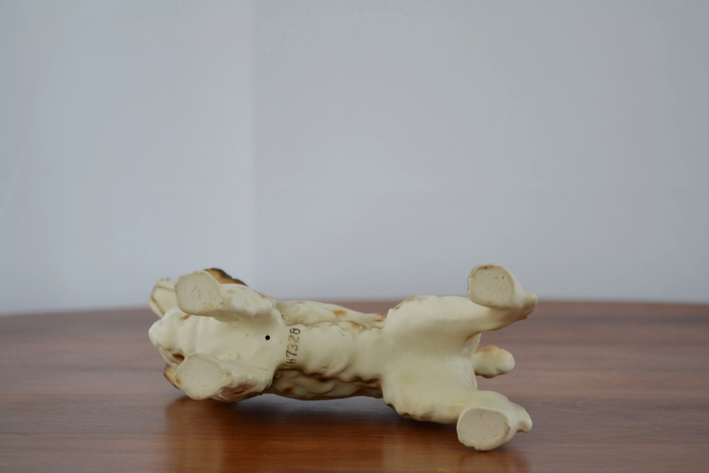 dog 006.JPG