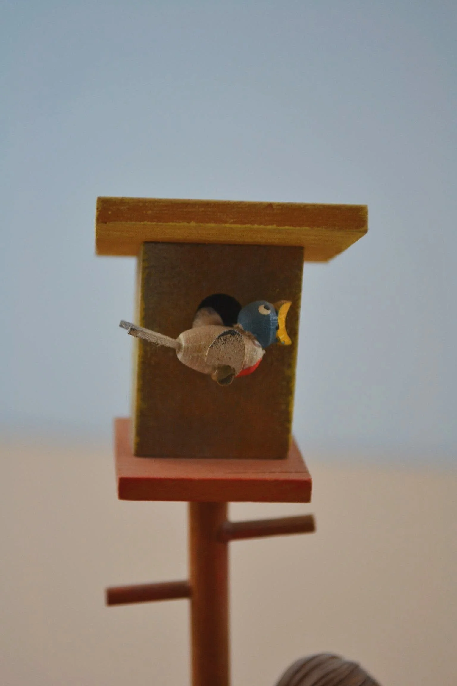 DSC_0005+%281%29.jpg