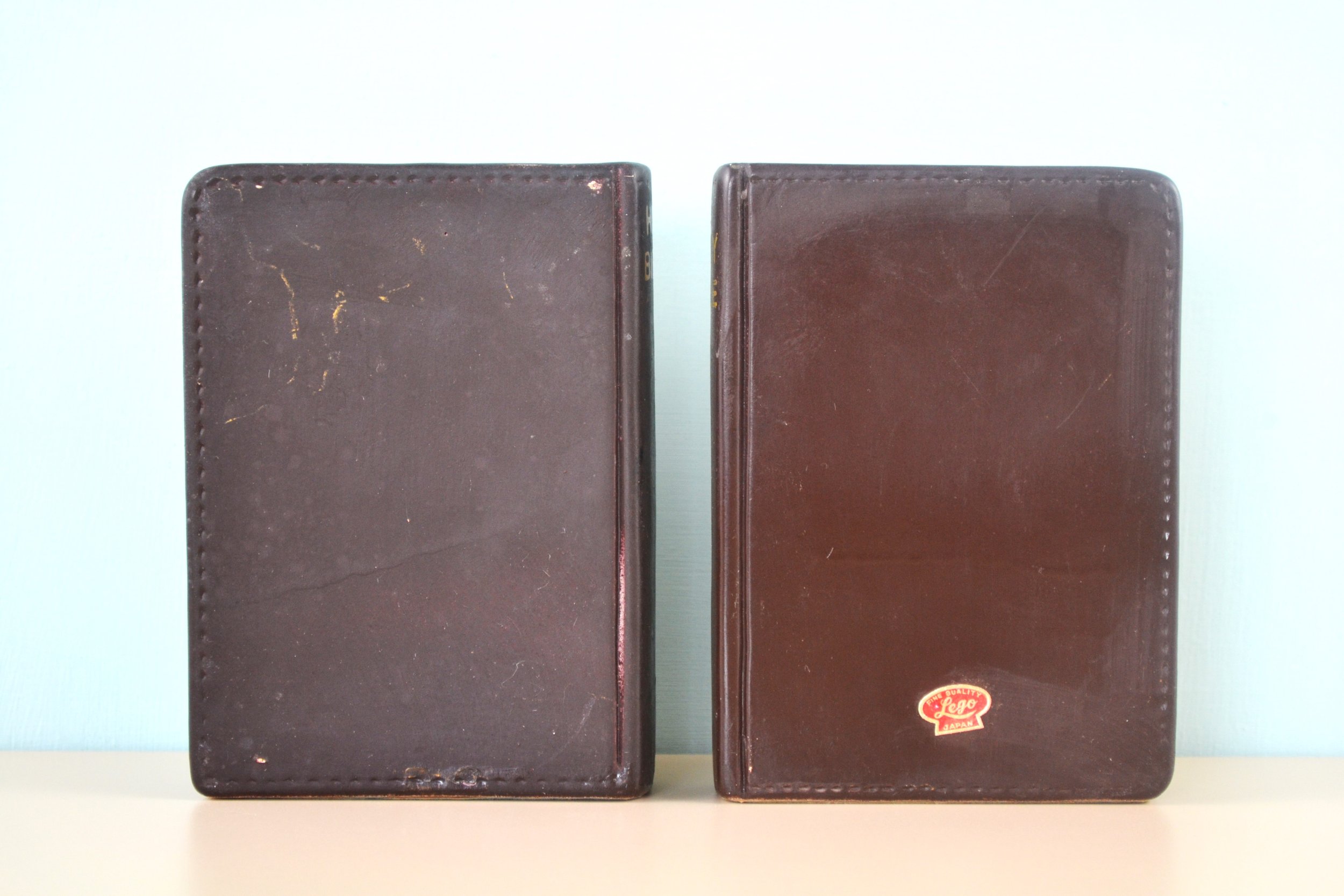 DSC_0004 - Copy (4).JPG