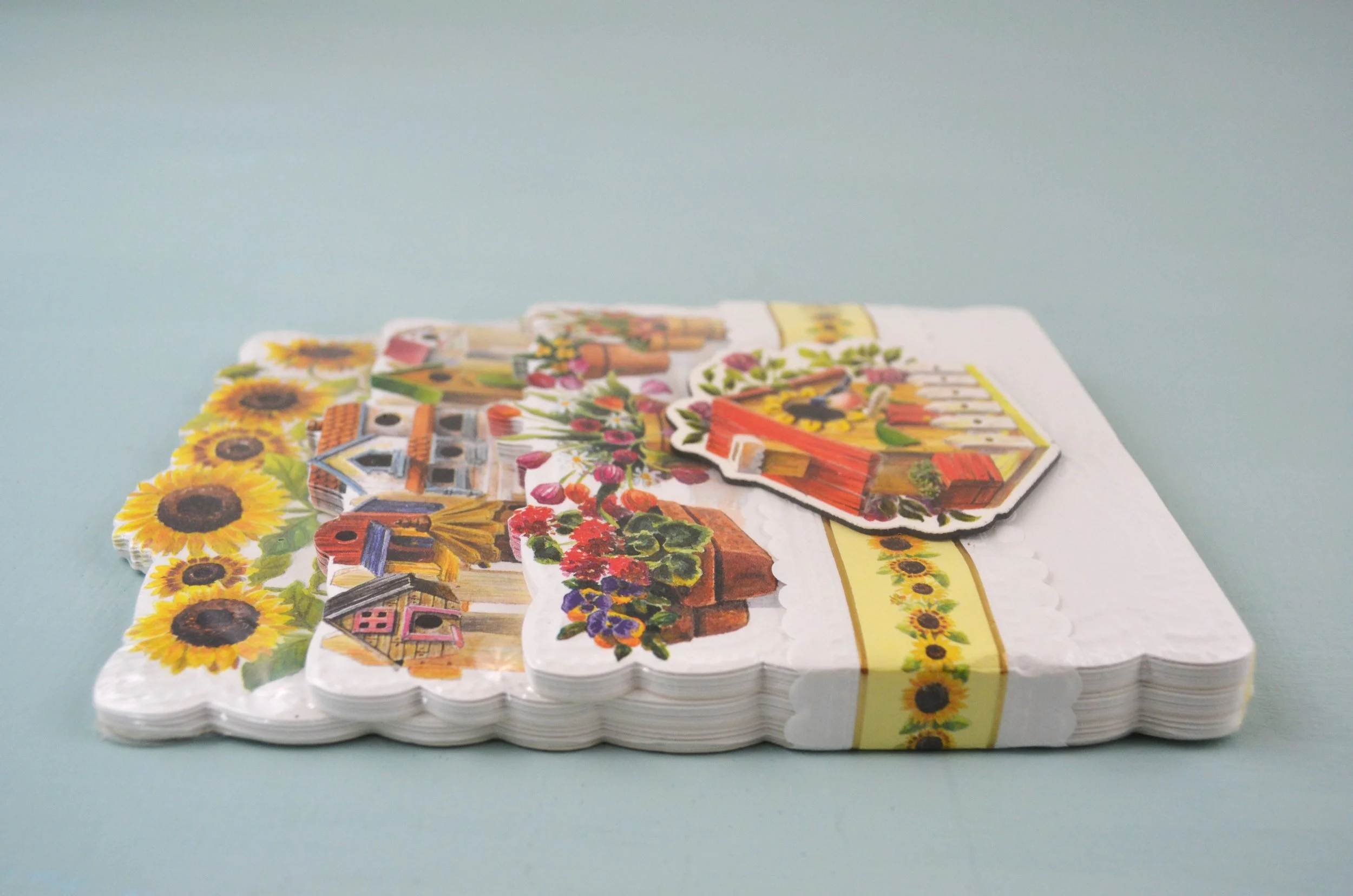 DSC_0001 - Copy (2).JPG