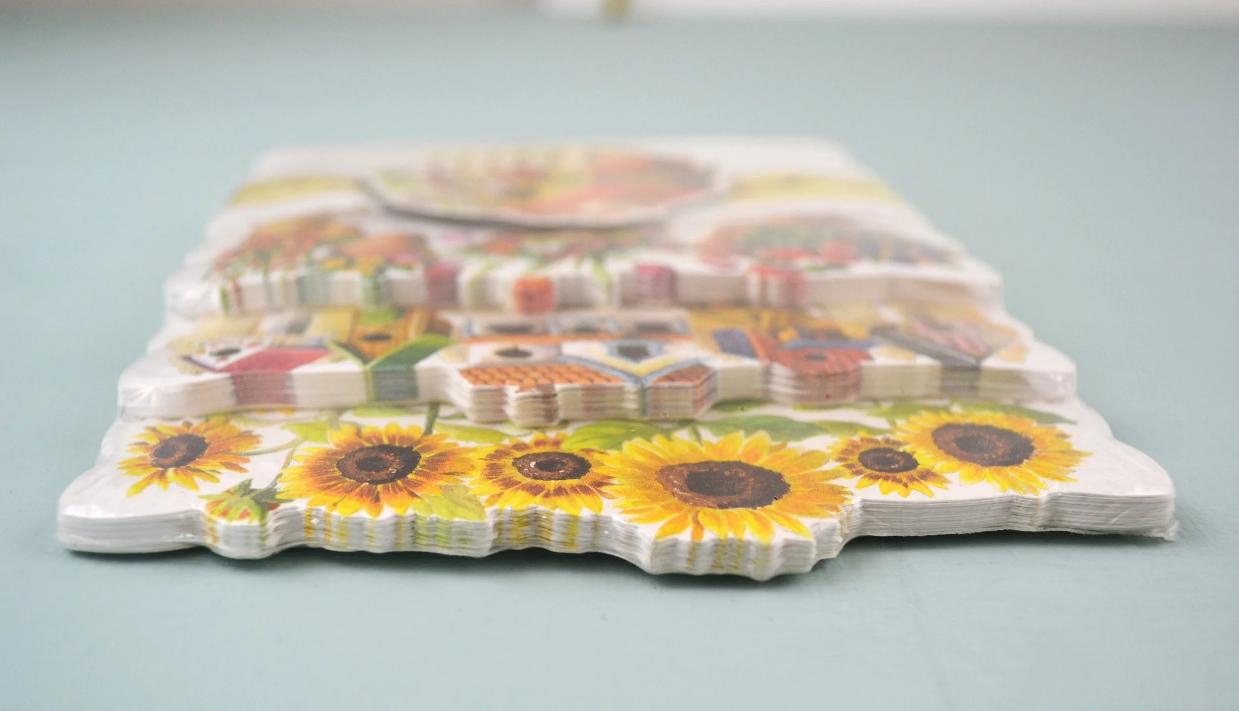 DSC_0002 - Copy (2).JPG