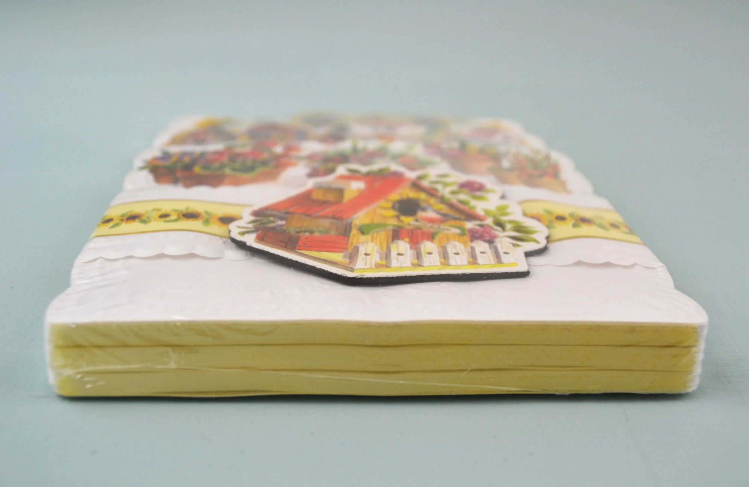 DSC_0003 - Copy (2).JPG