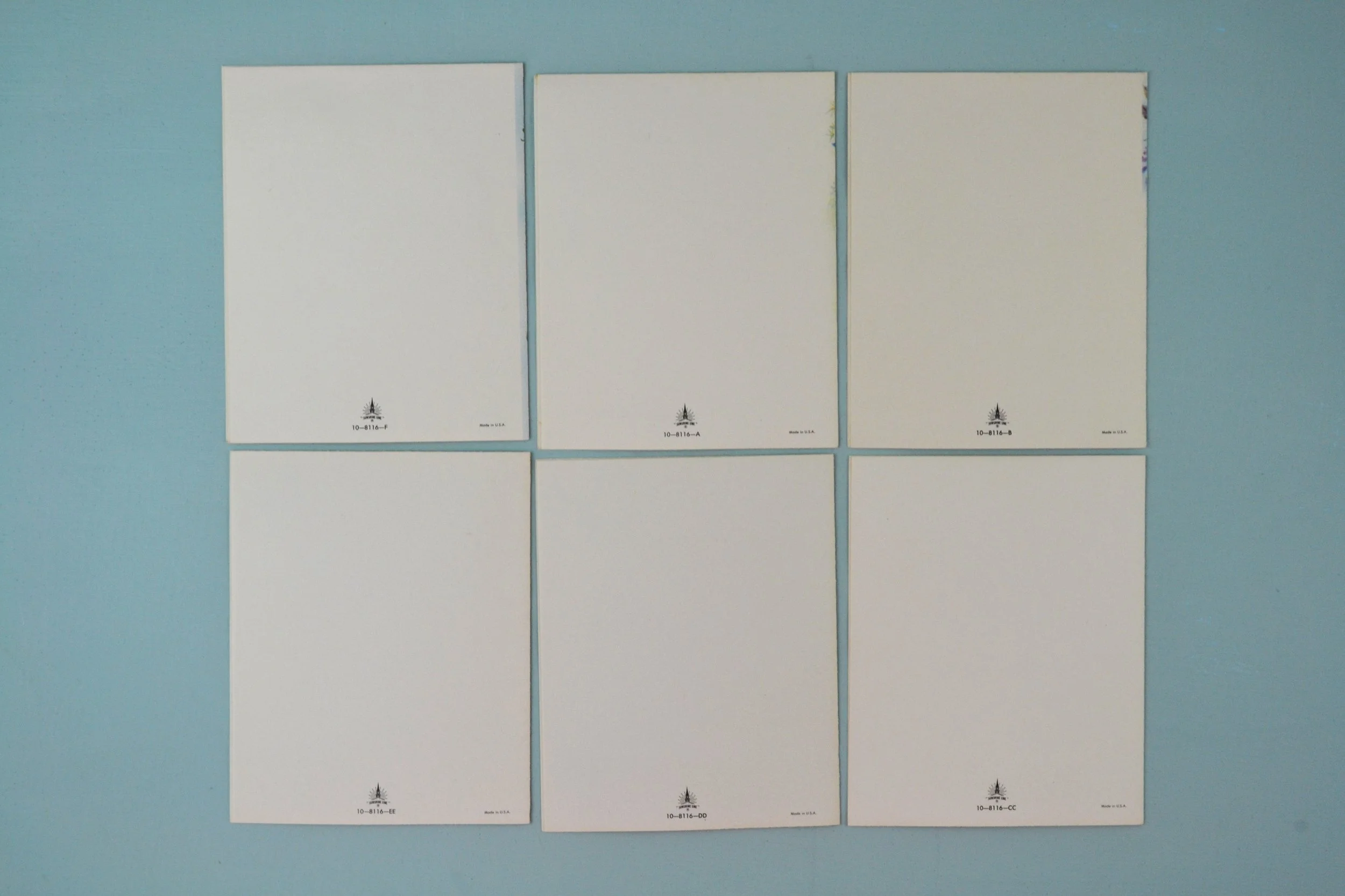 DSC_0007 - Copy (2).JPG