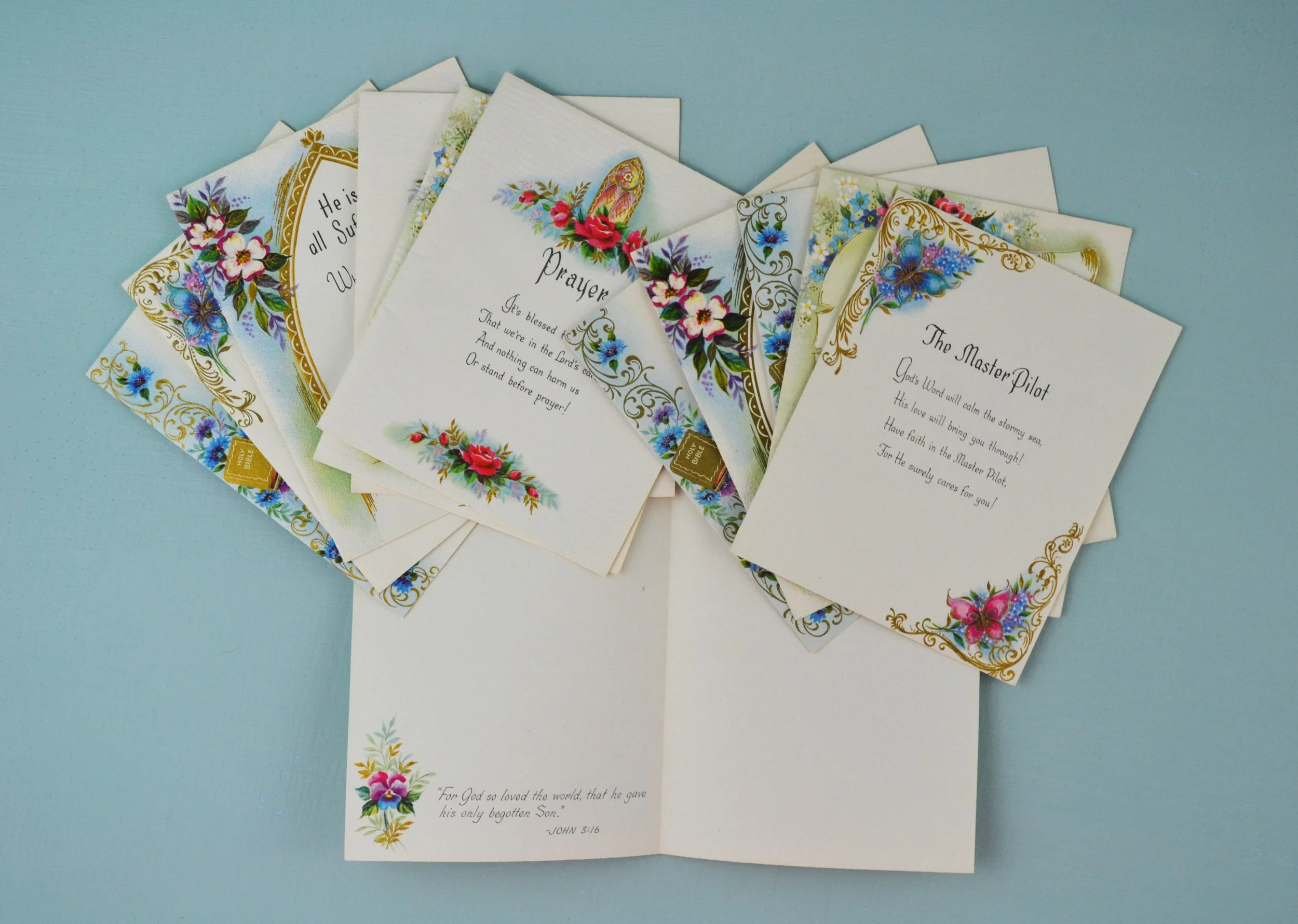 DSC_0009 - Copy (3).JPG