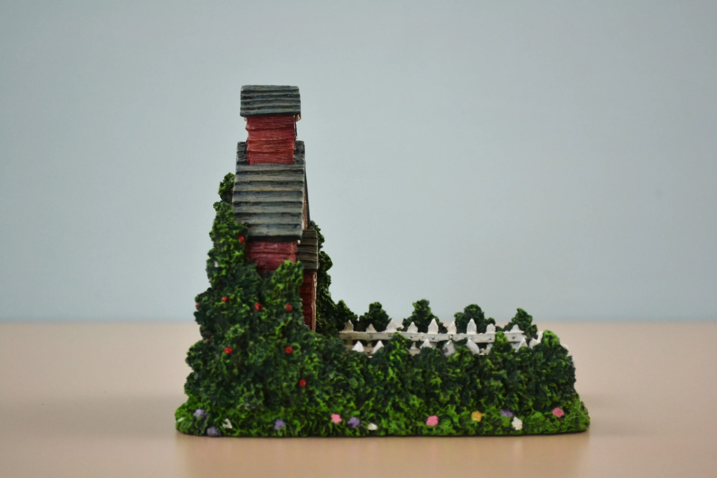 DSC_0004 - Copy (5).JPG