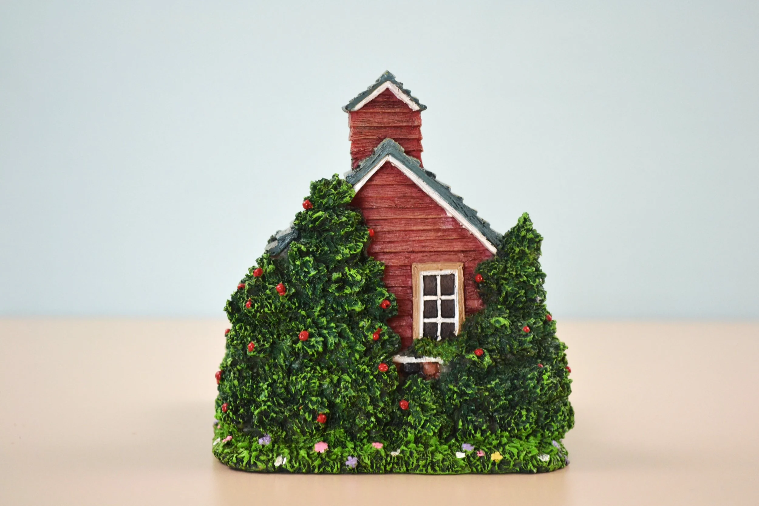 DSC_0005 - Copy (2).JPG