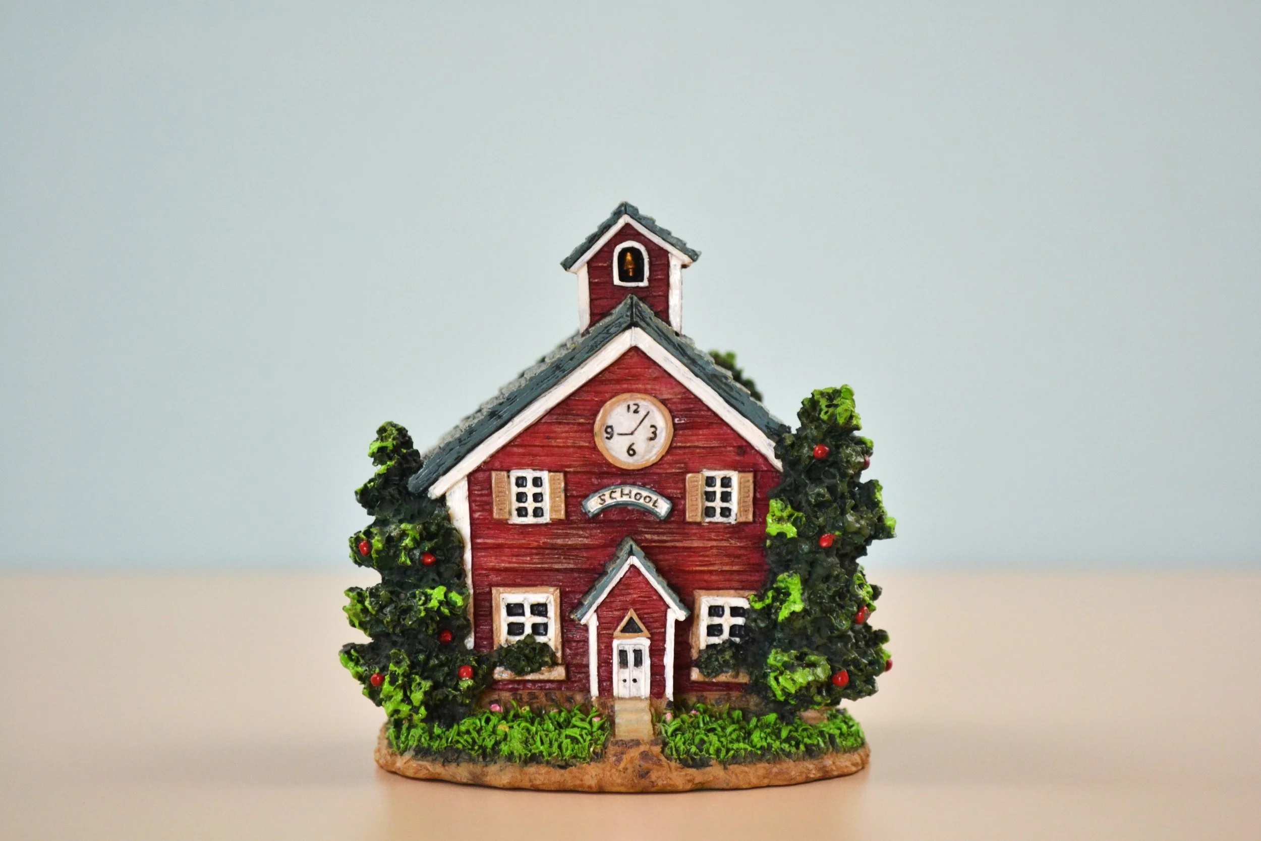 DSC_0007 - Copy (2).JPG