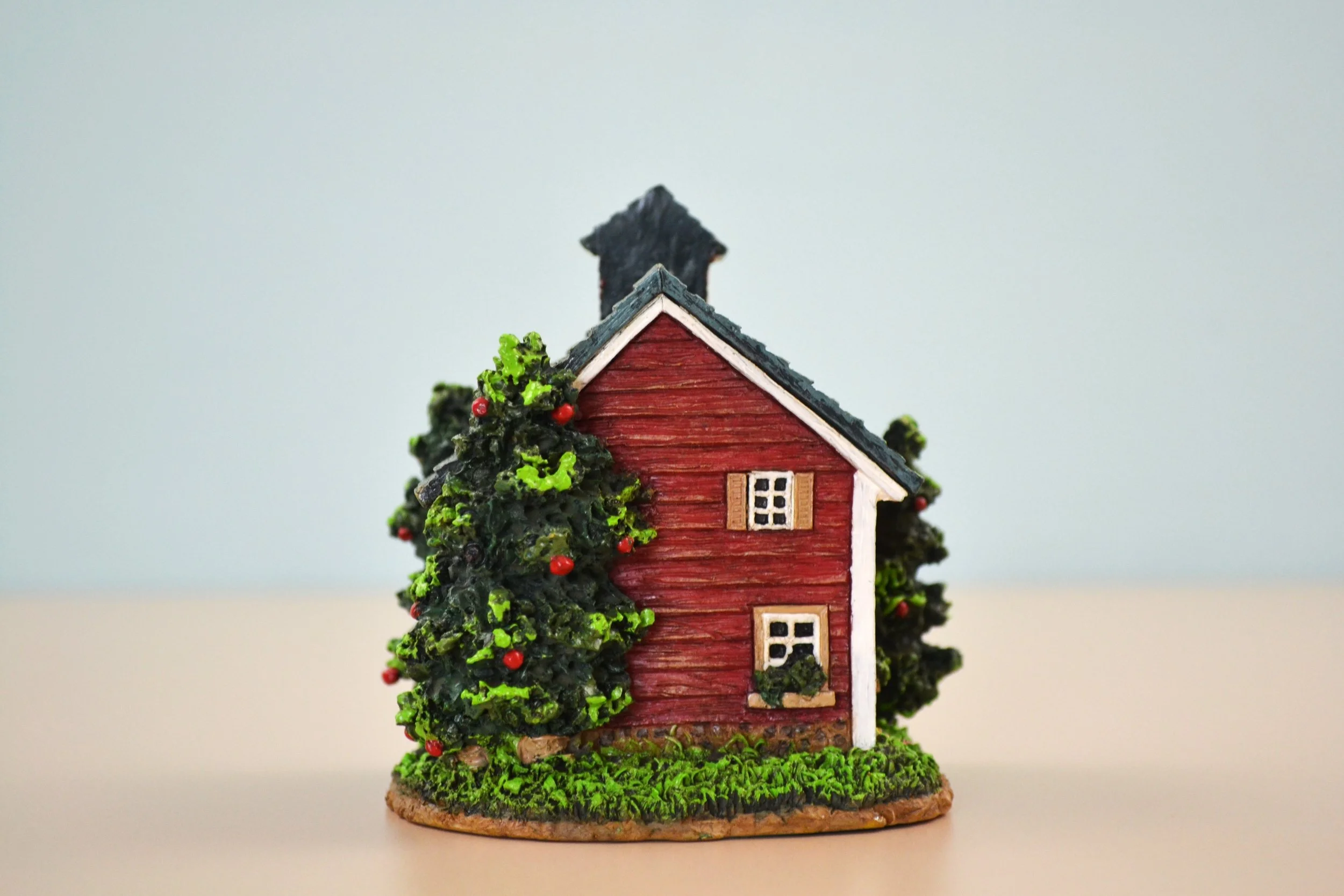 DSC_0009 - Copy (4).JPG