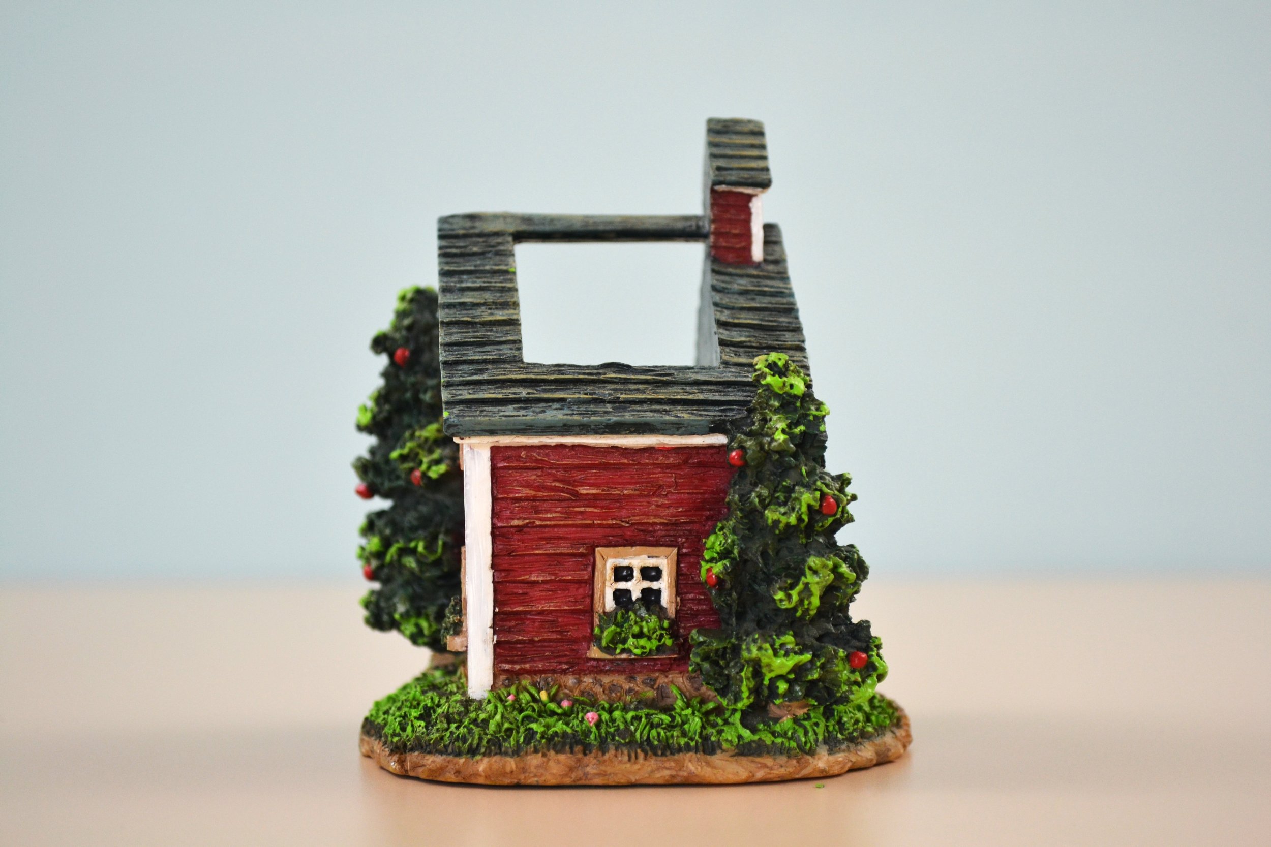 DSC_0011 - Copy (2).JPG