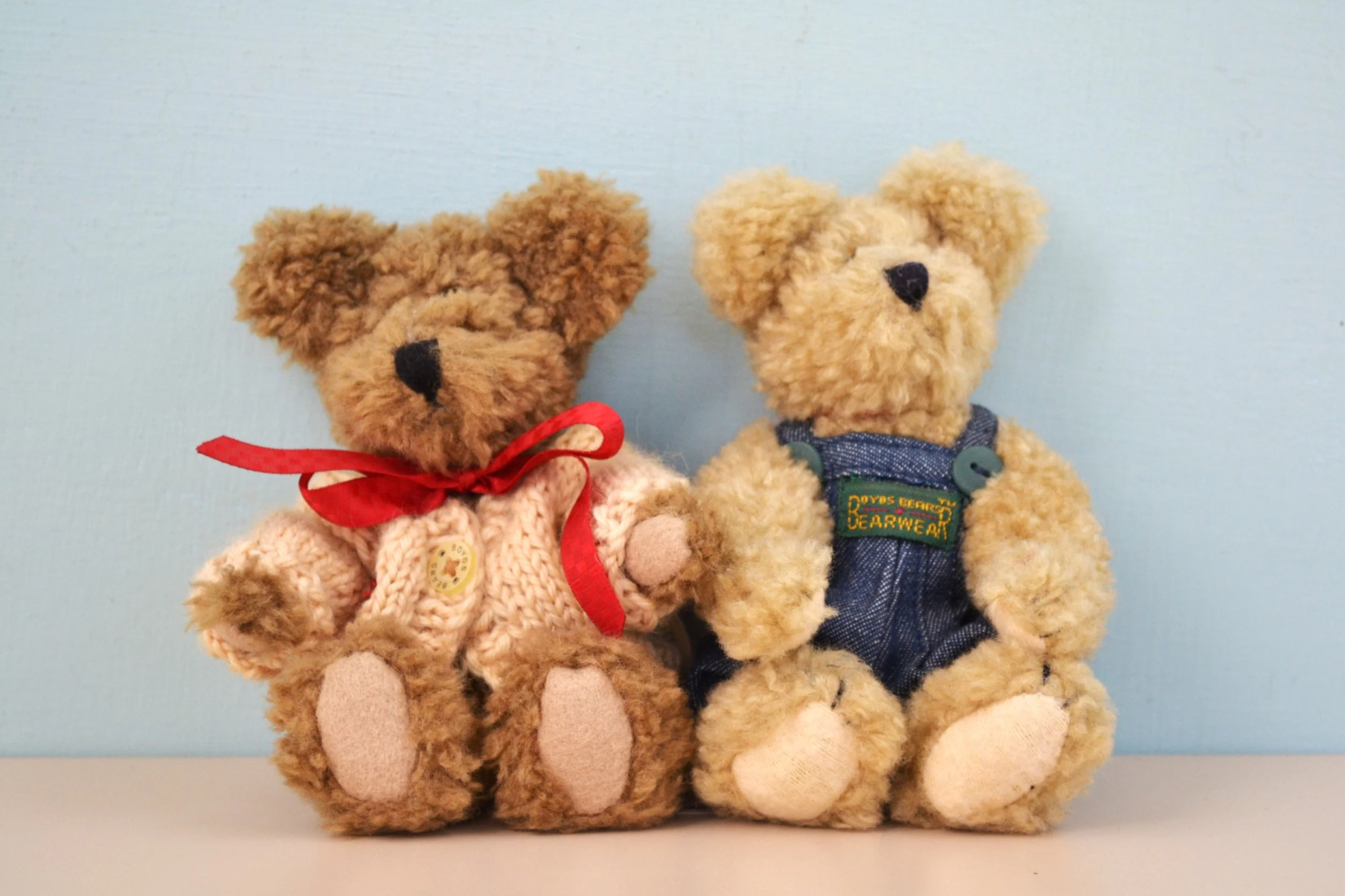 DSC_0013 - Copy (5).JPG