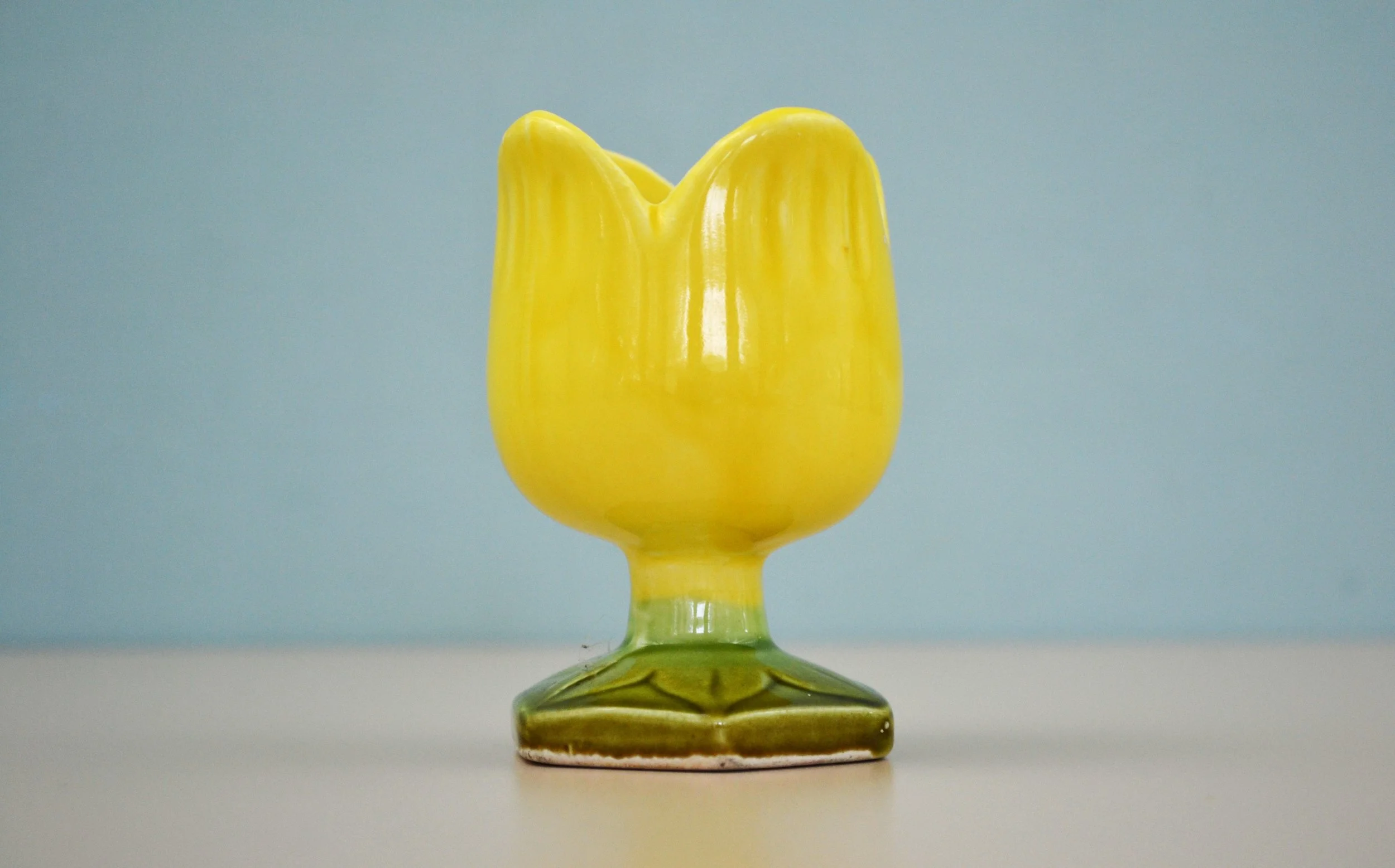 DSC_0023 - Copy (2).JPG