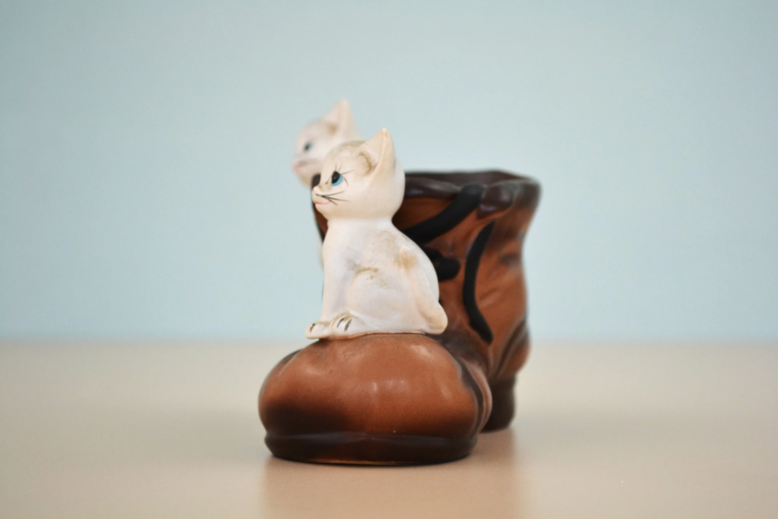 DSC_0020 - Copy (7).JPG