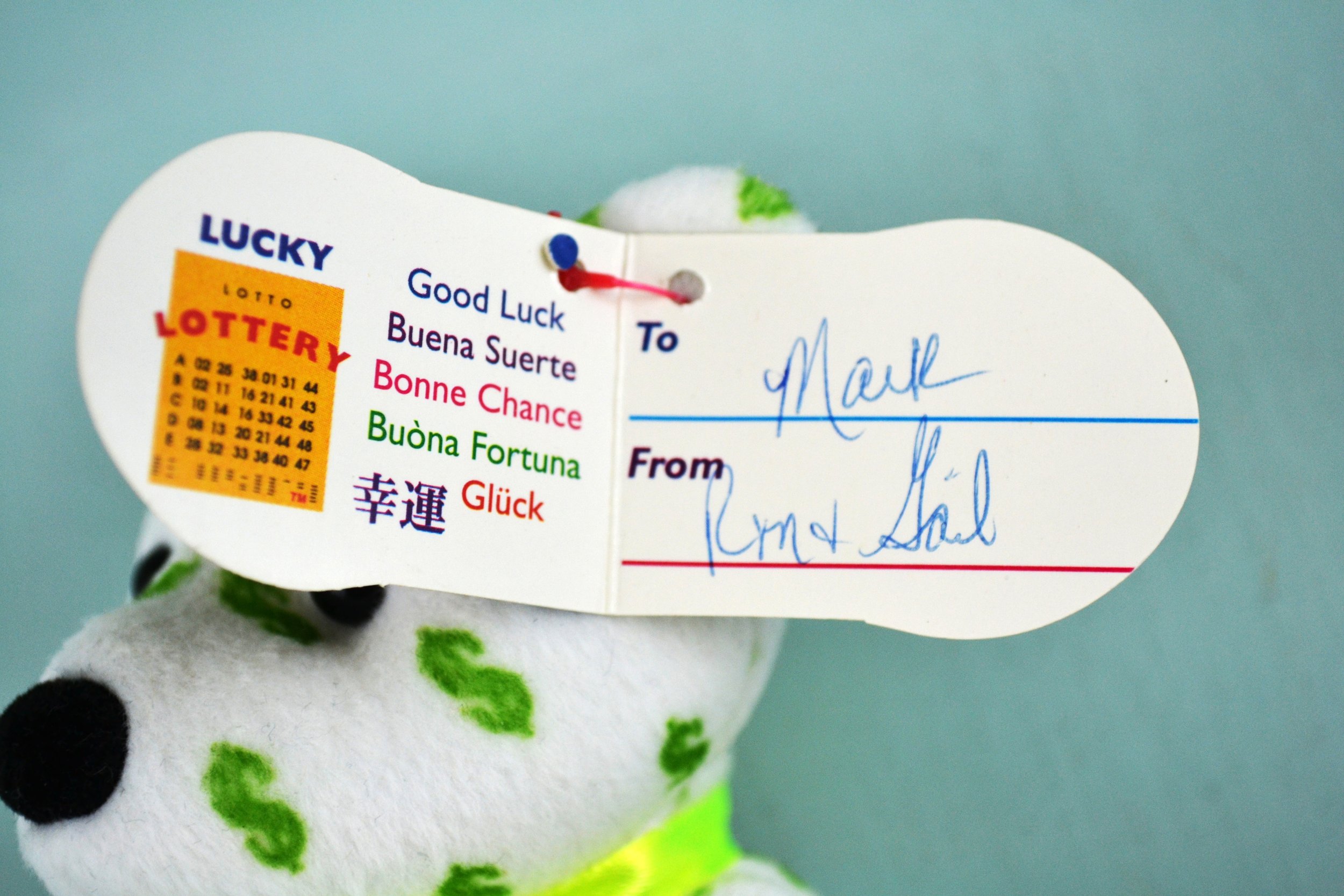 DSC_0003 - Copy (6).JPG