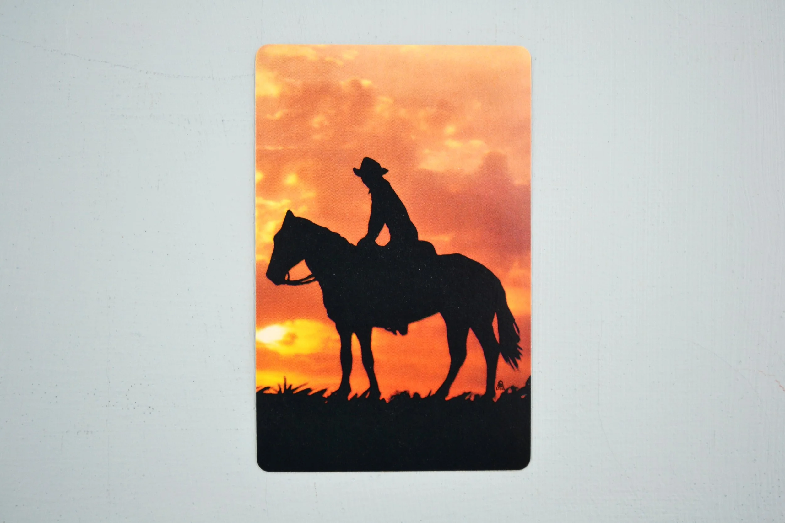 DSC_0001 - Copy (14).JPG