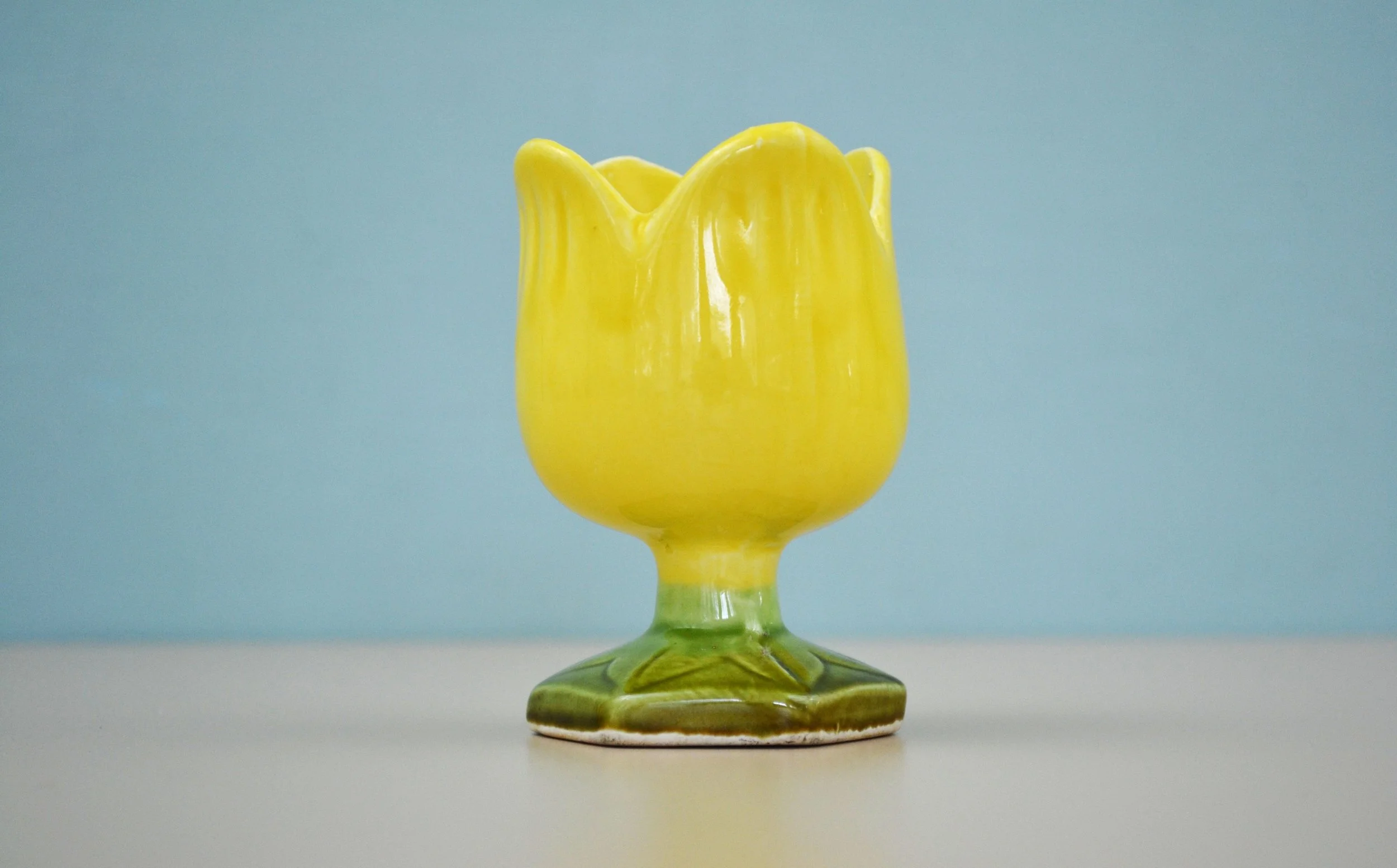 DSC_0019 - Copy (2).JPG