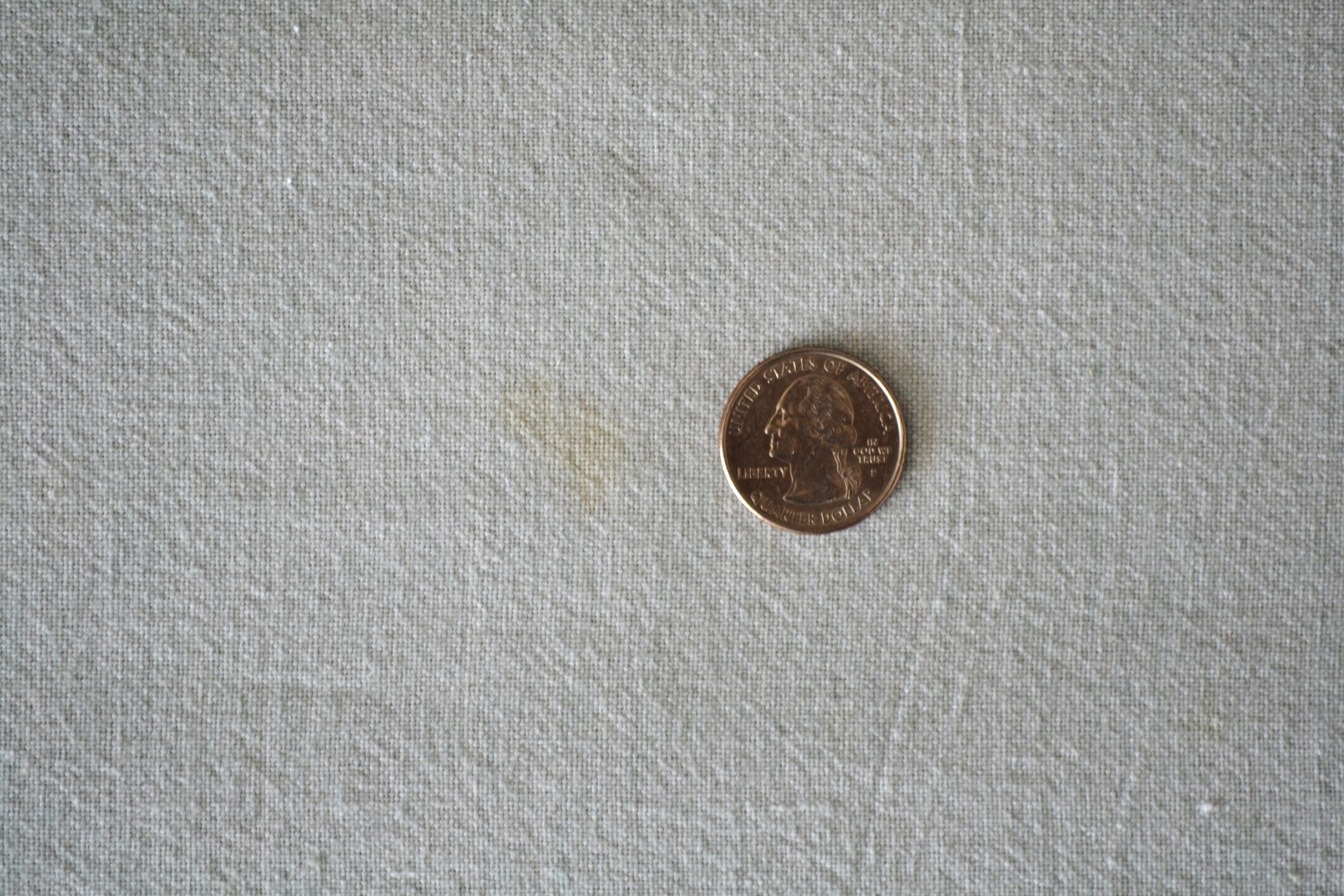 DSC_0001 - Copy (4).JPG