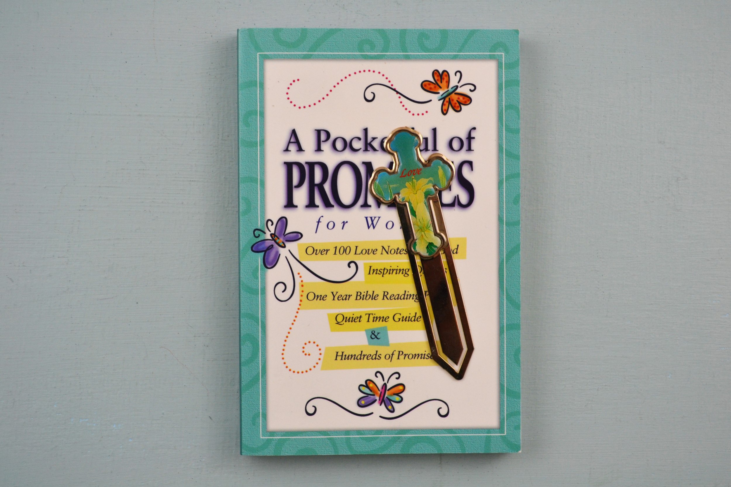 DSC_0024 - Copy (4).JPG