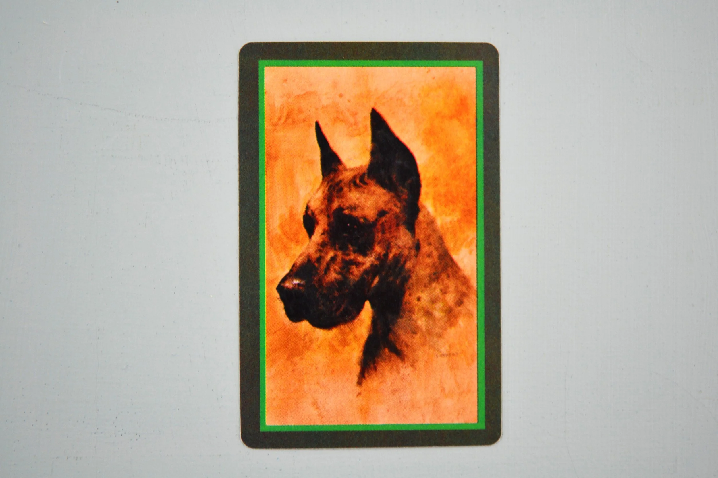 DSC_0007 - Copy (14).JPG