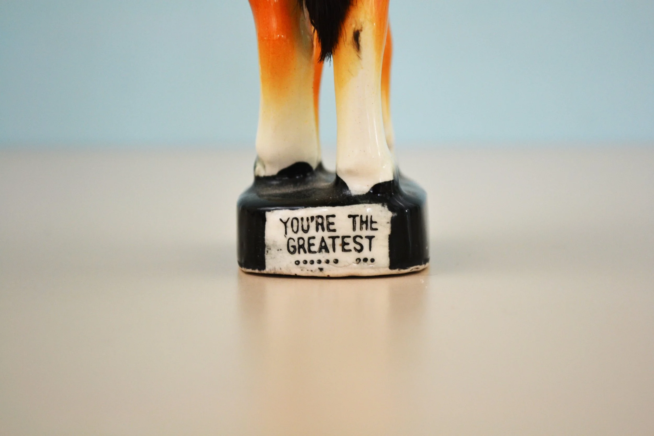 DSC_0005 - Copy (2).JPG