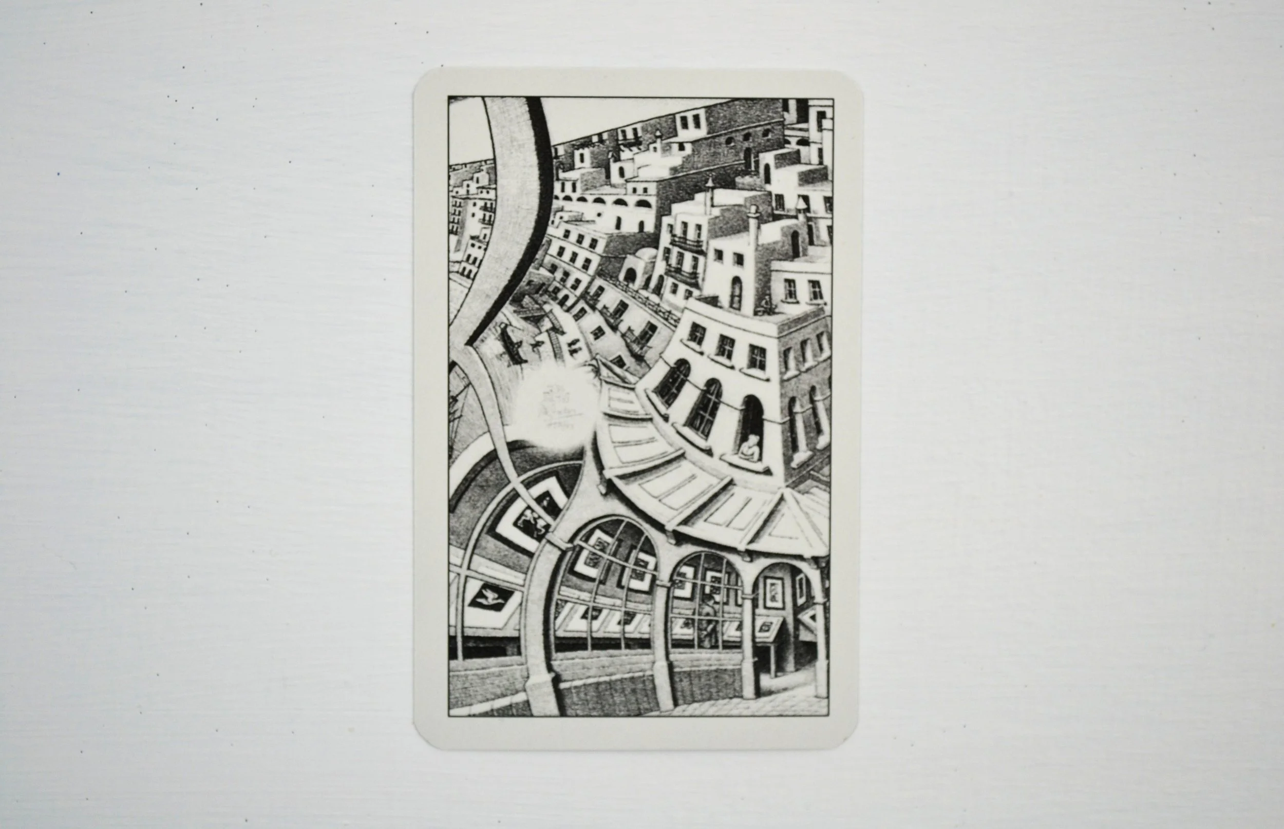 DSC_0027 - Copy (2).JPG