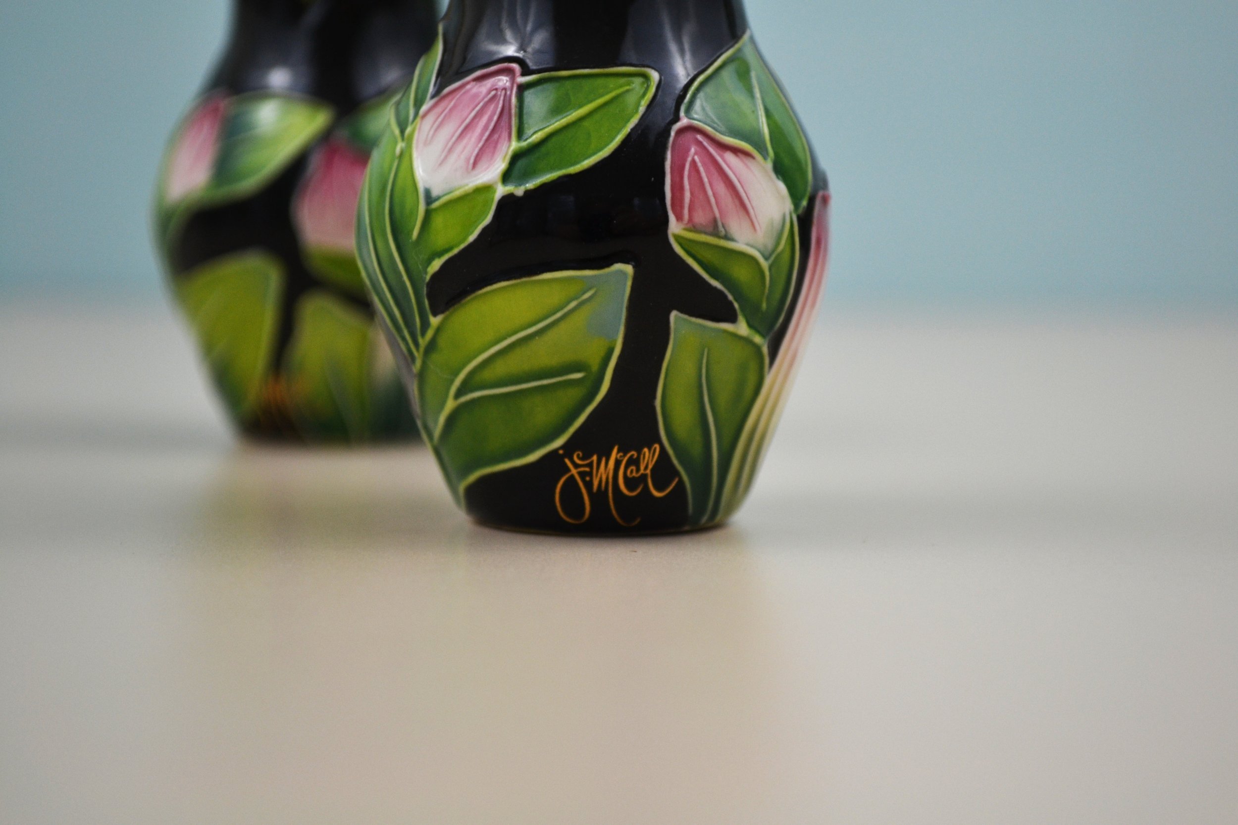 DSC_0020 - Copy (5).JPG