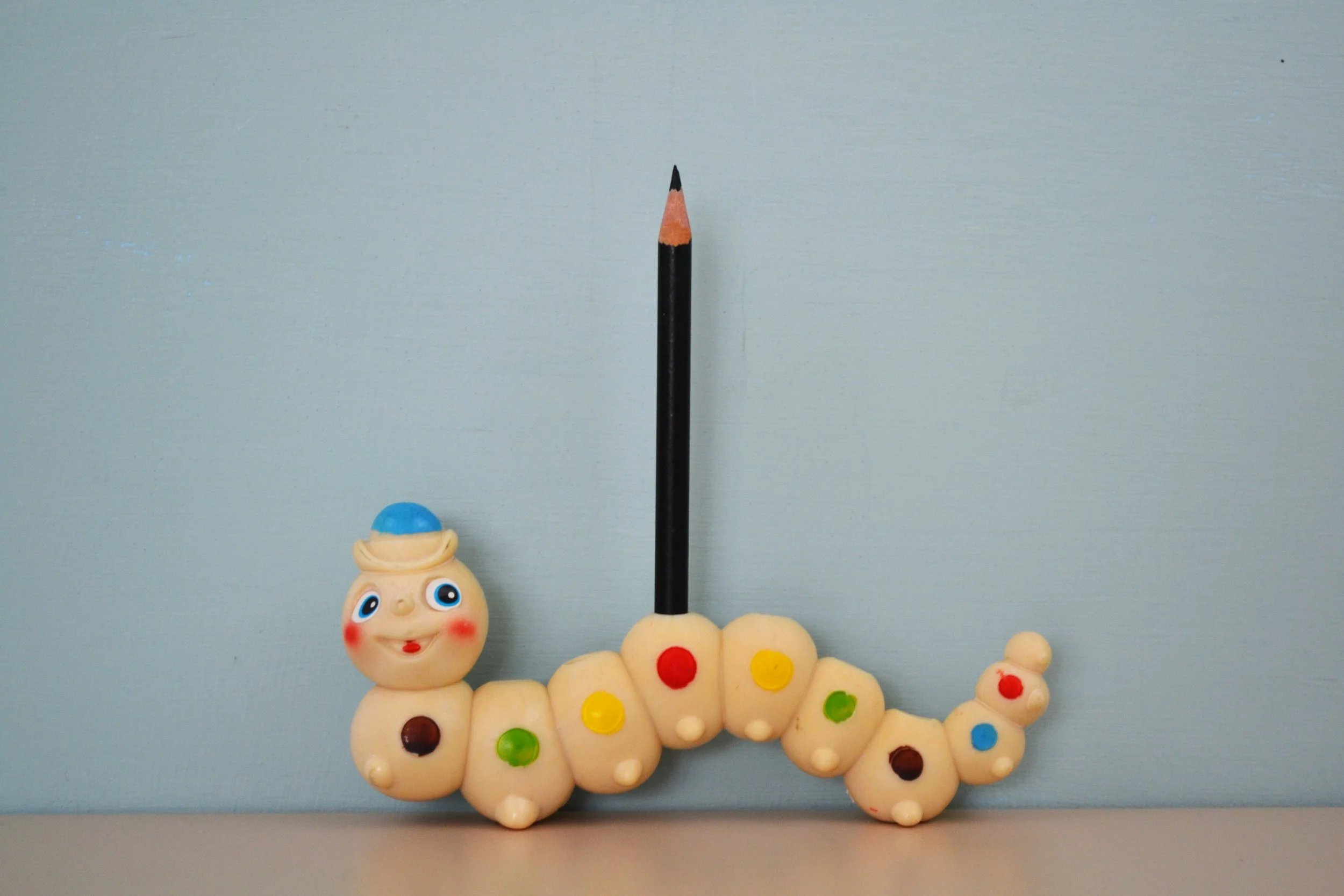 DSC_0002 - Copy (16).JPG