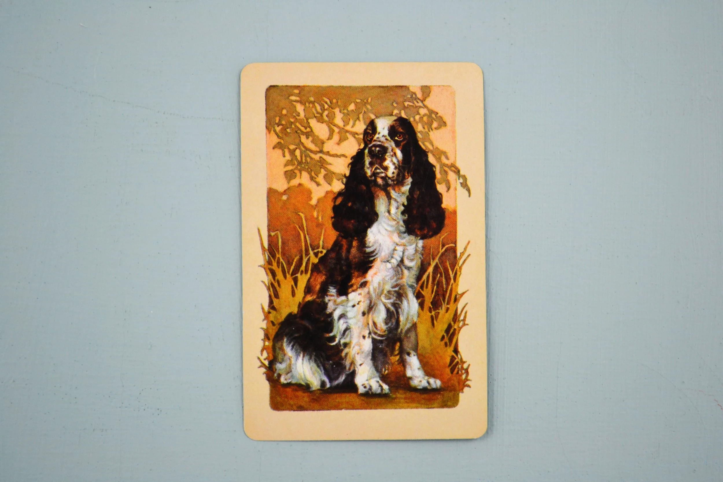 DSC_0005 - Copy (15).JPG