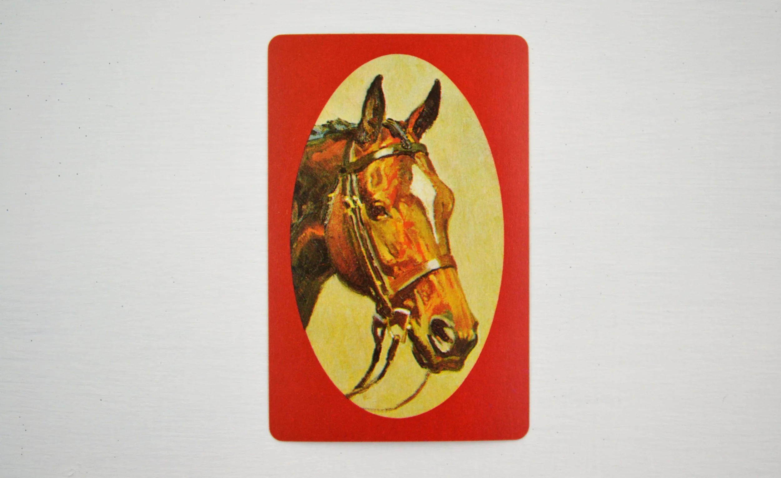 DSC_0003 - Copy (4).JPG