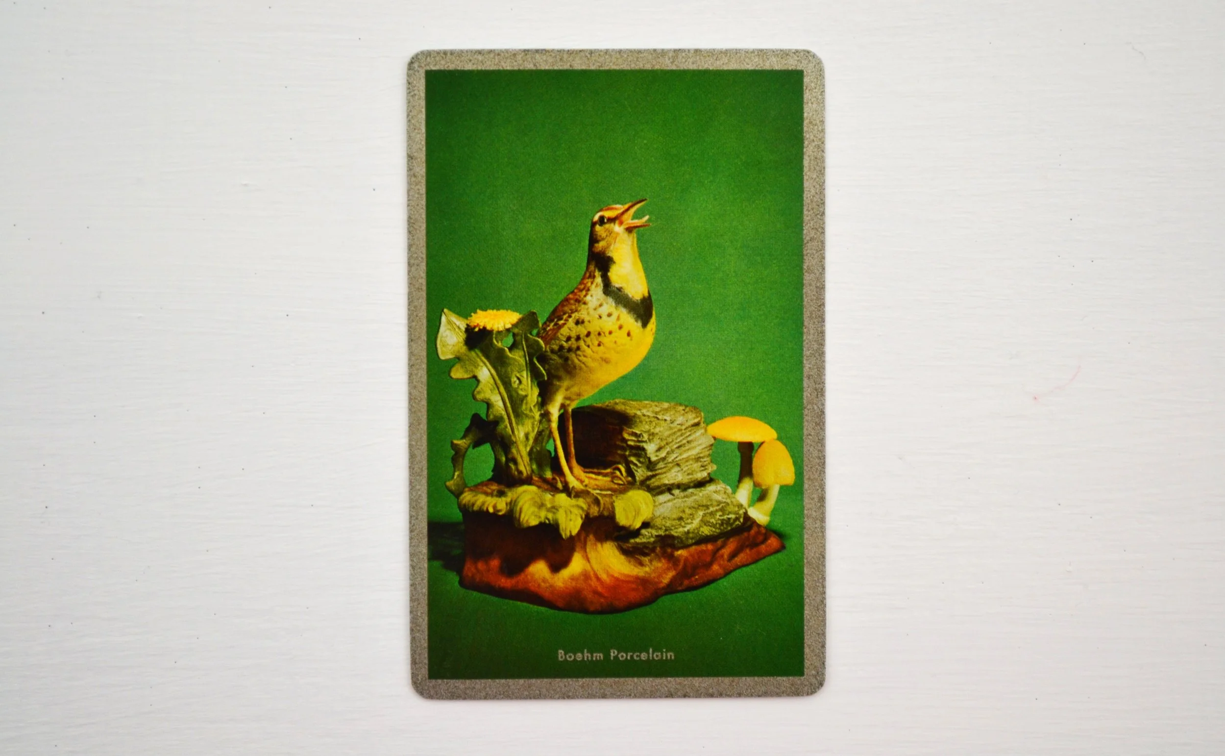 DSC_0001 - Copy (2).JPG