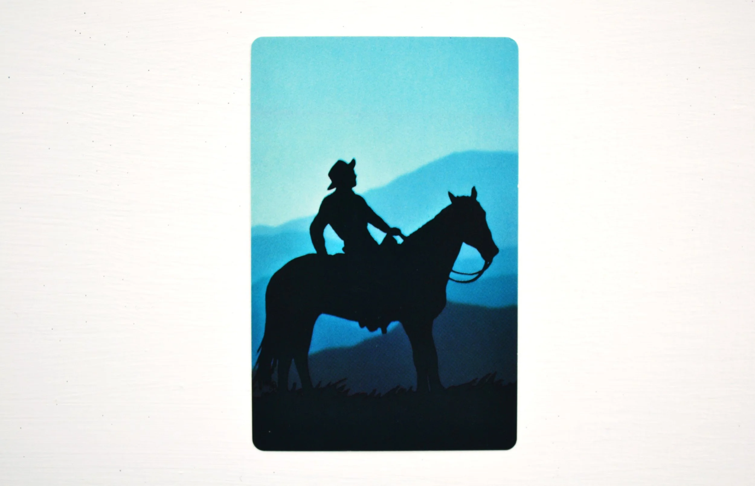 DSC_0006 - Copy (4).JPG