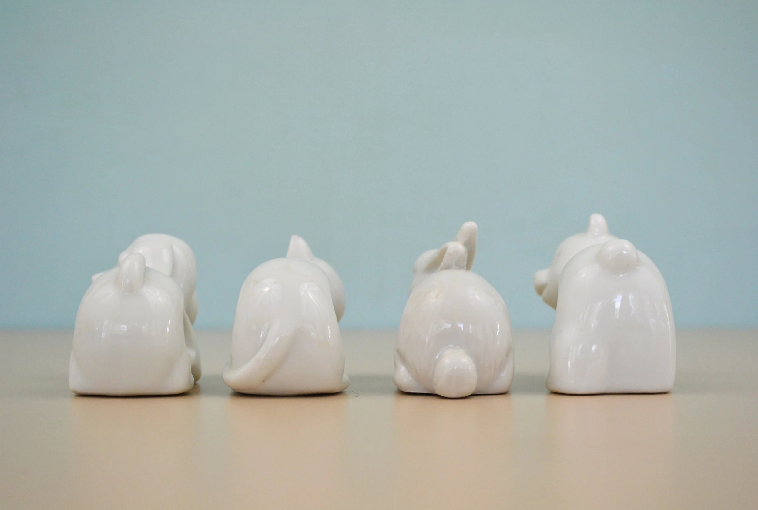 DSC_0030 - Copy (5).JPG