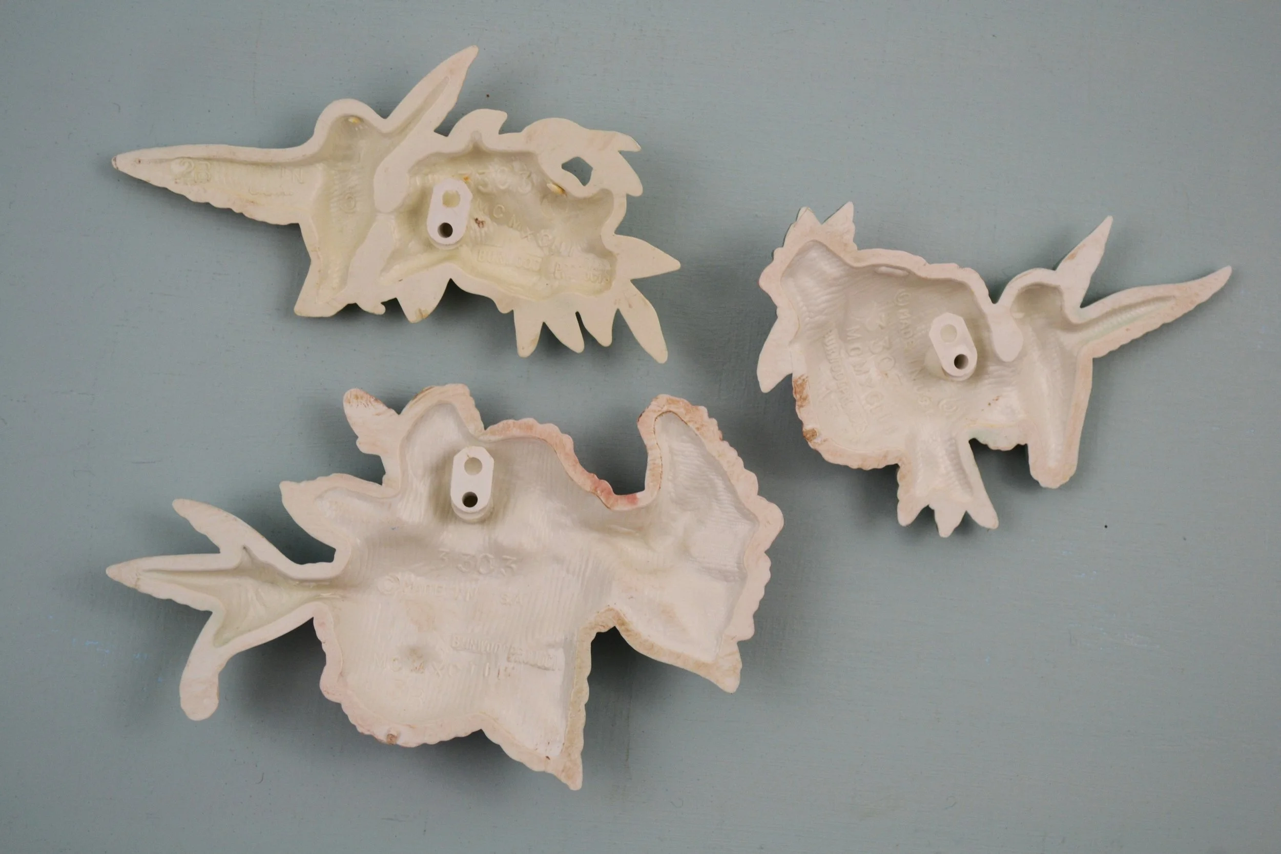 DSC_0024 - Copy (6).JPG