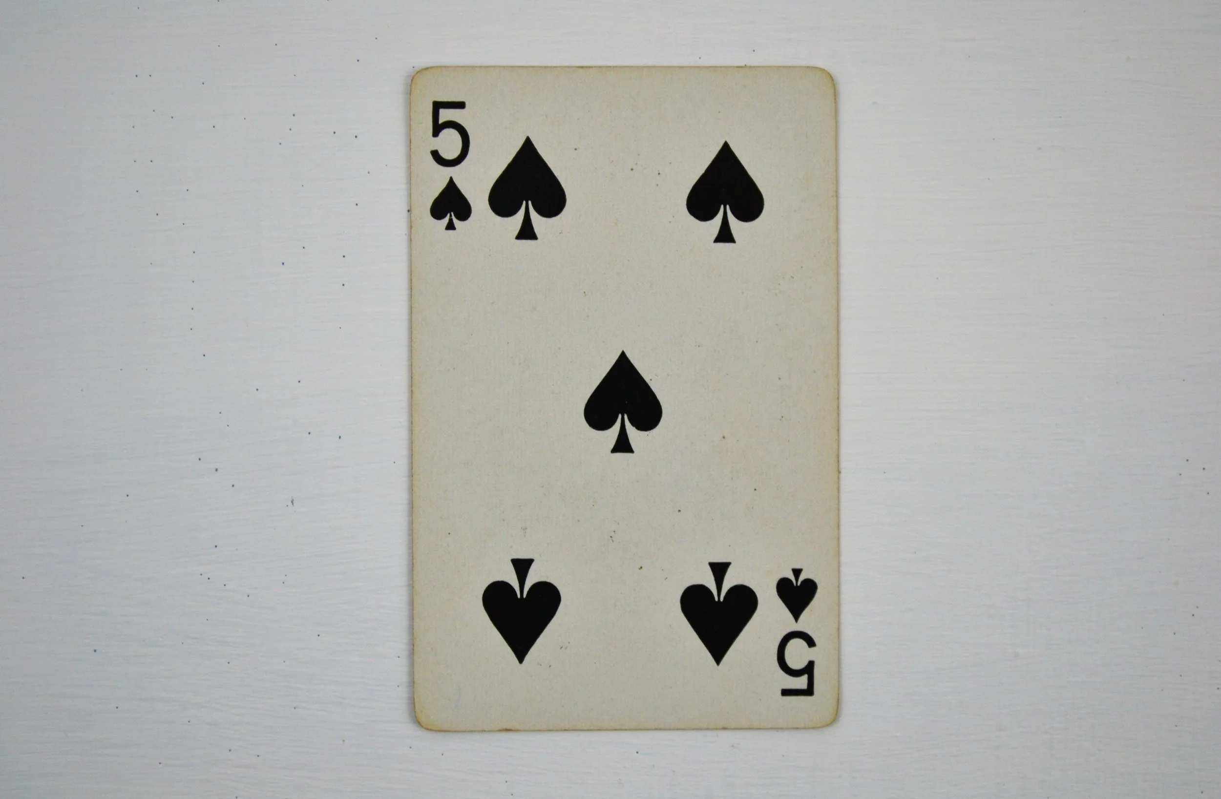 DSC_0022 - Copy (2).JPG