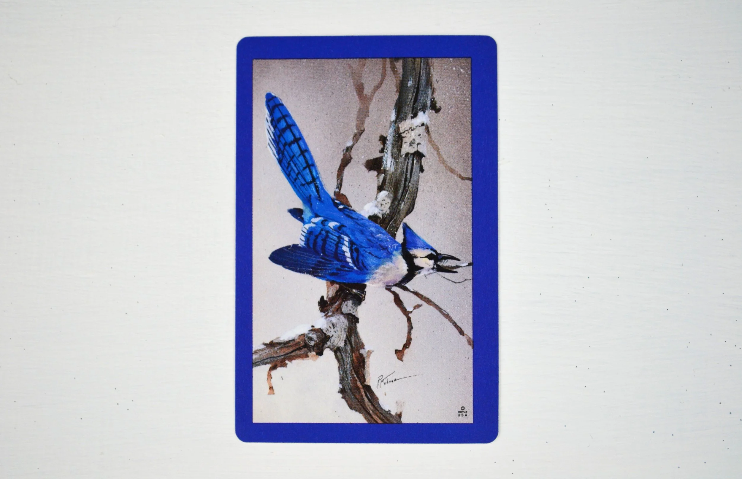 DSC_0022 - Copy (2).JPG