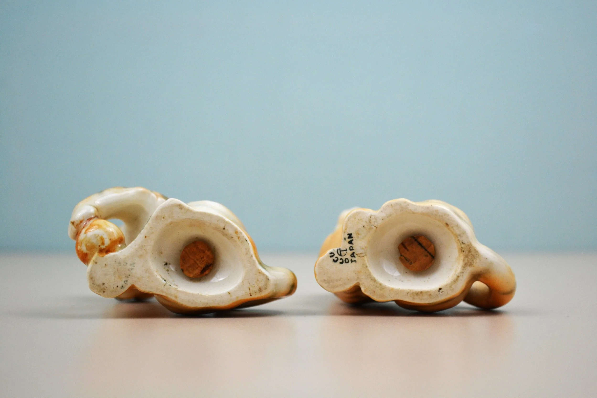 DSC_0010 - Copy (7).JPG