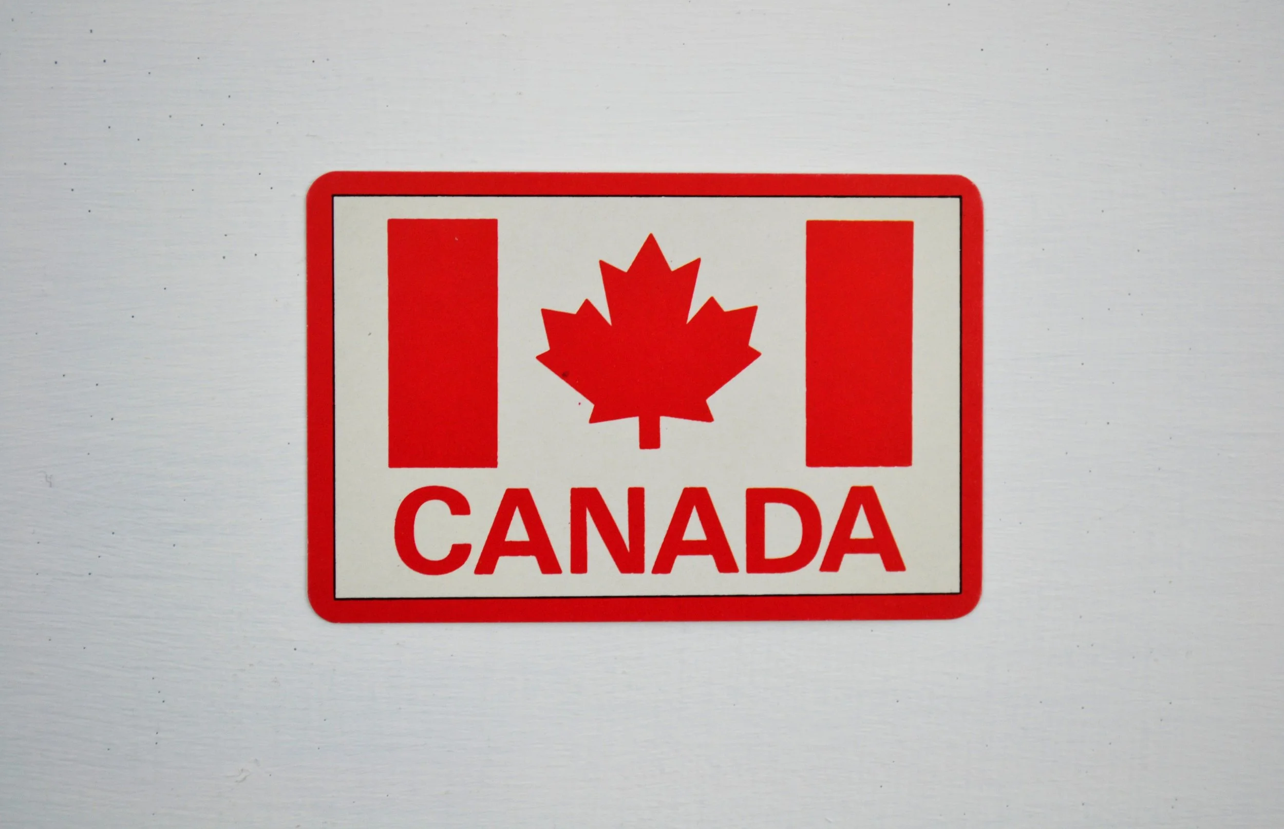 DSC_0019 - Copy (2).JPG