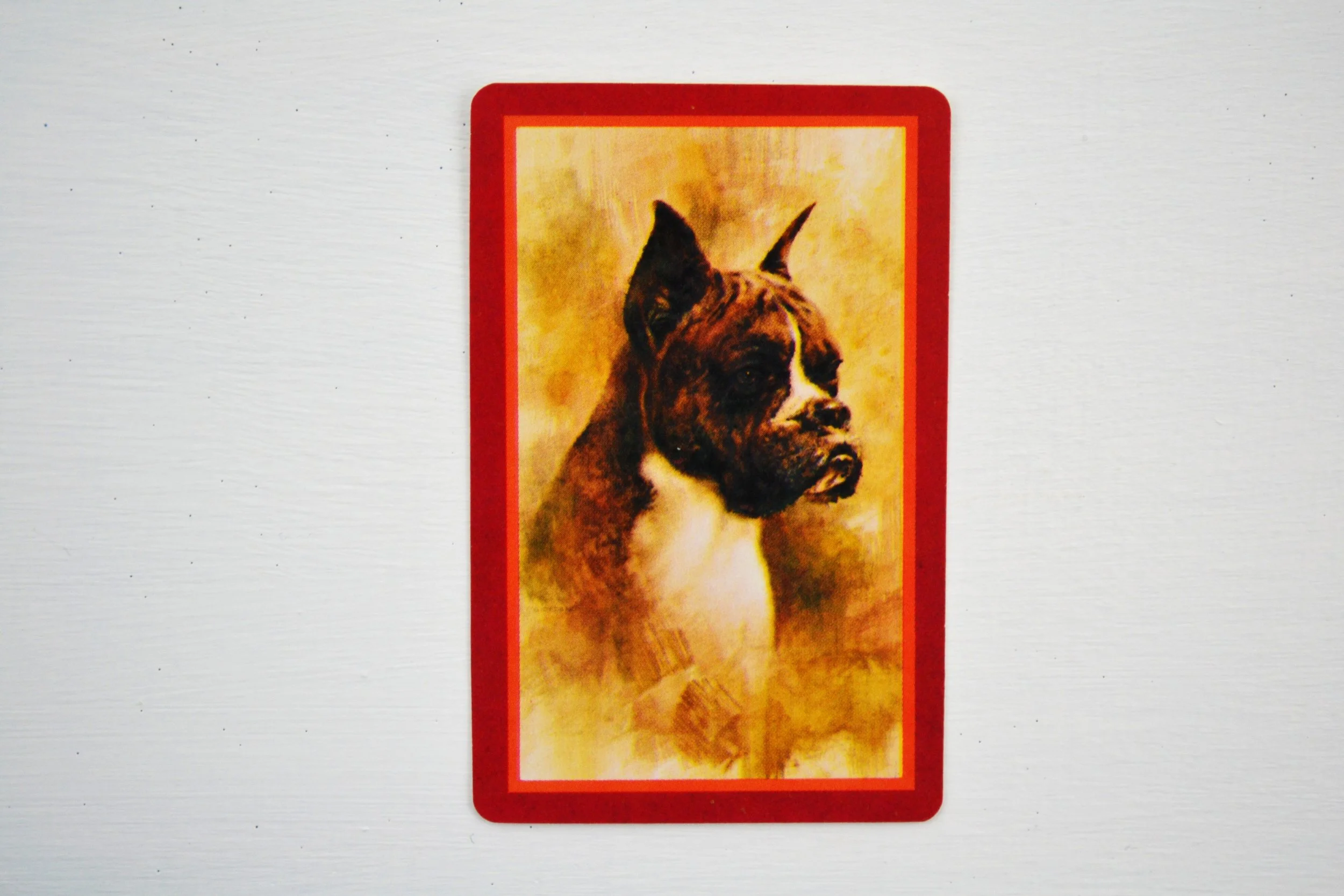 DSC_0003 - Copy (5).JPG