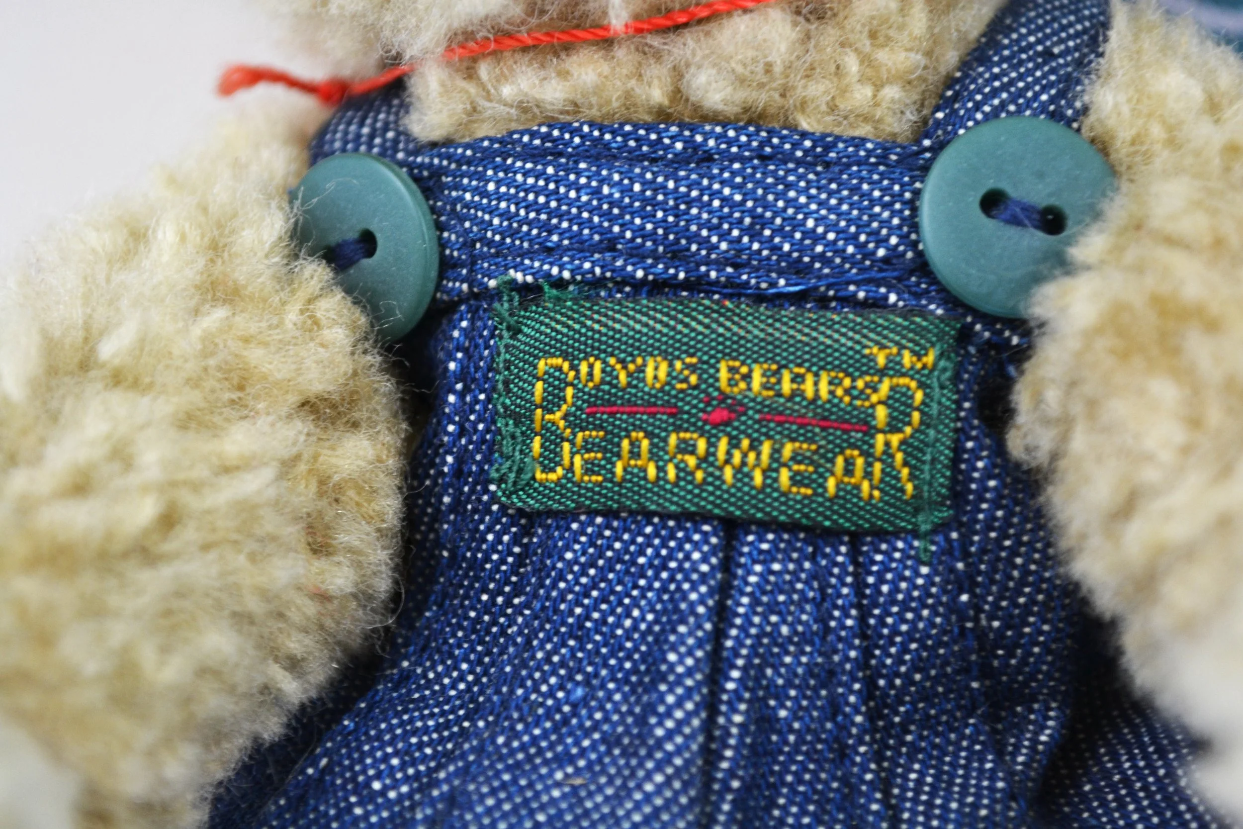 DSC_0020 - Copy (5).JPG