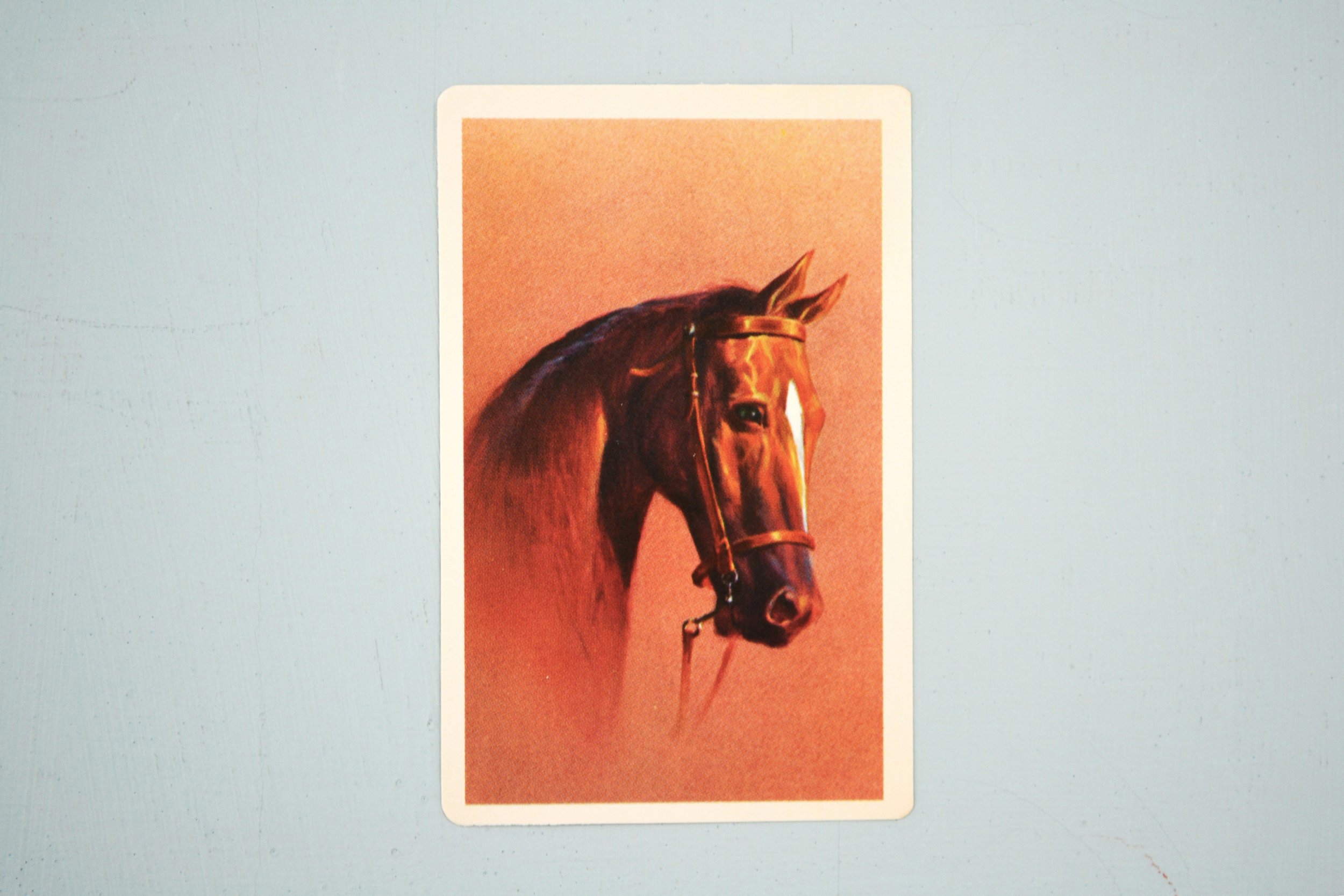 DSC_0026 - Copy (8).JPG