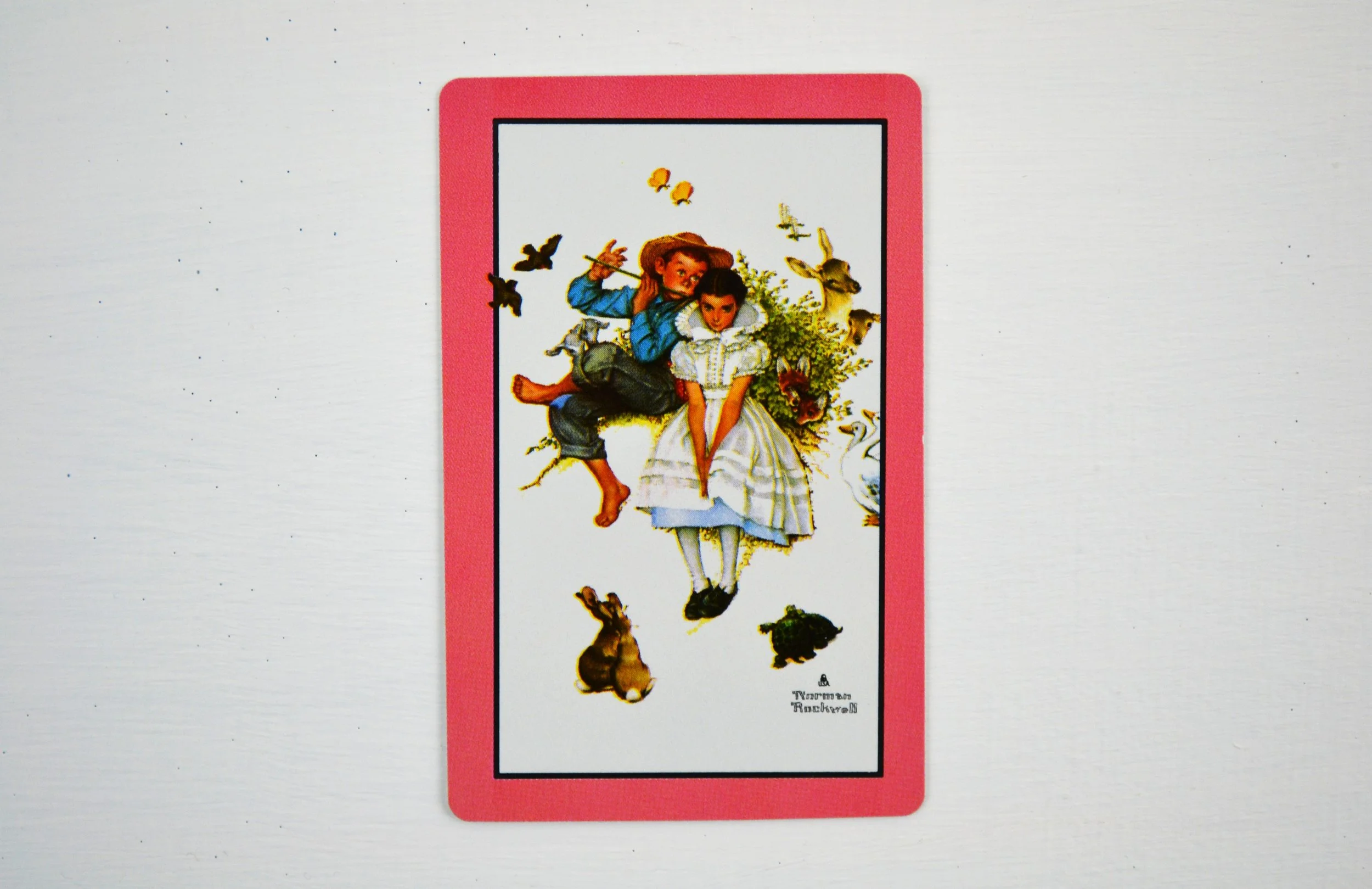 DSC_0026 - Copy (2).JPG