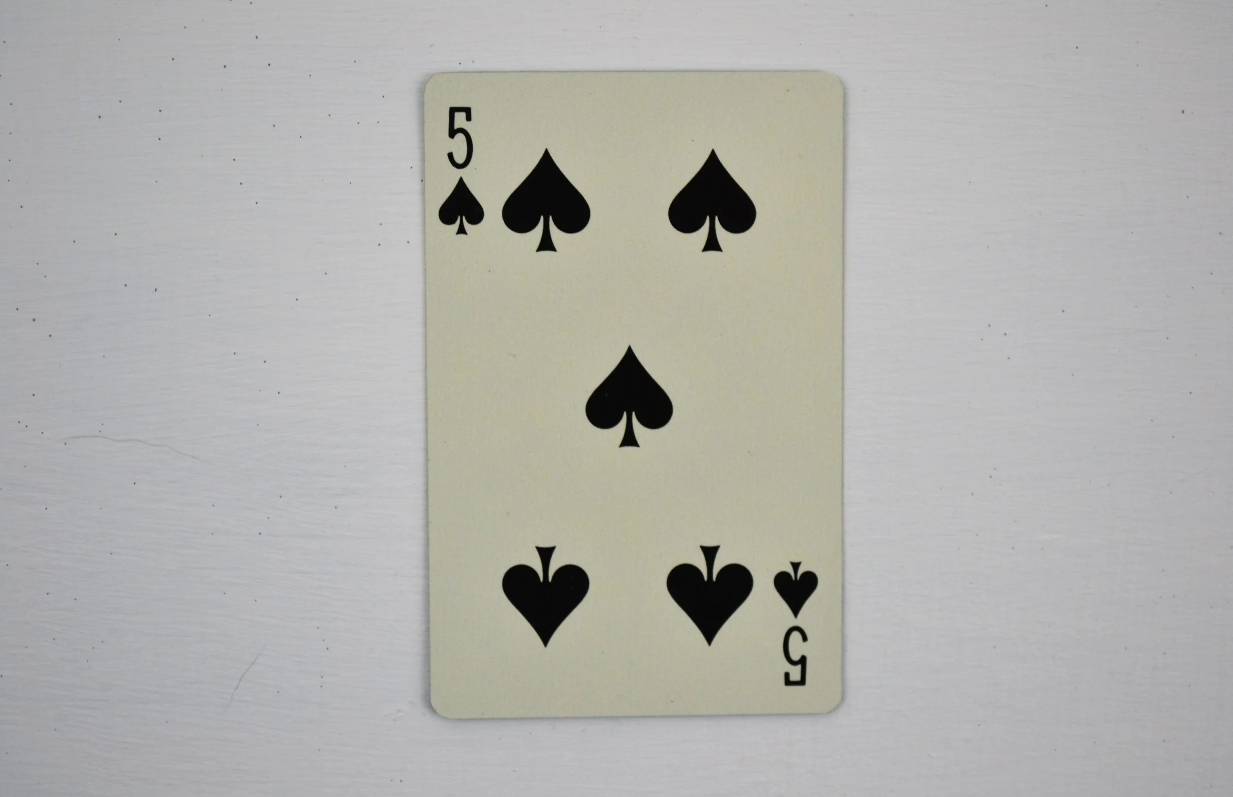 DSC_0003 - Copy (3).JPG