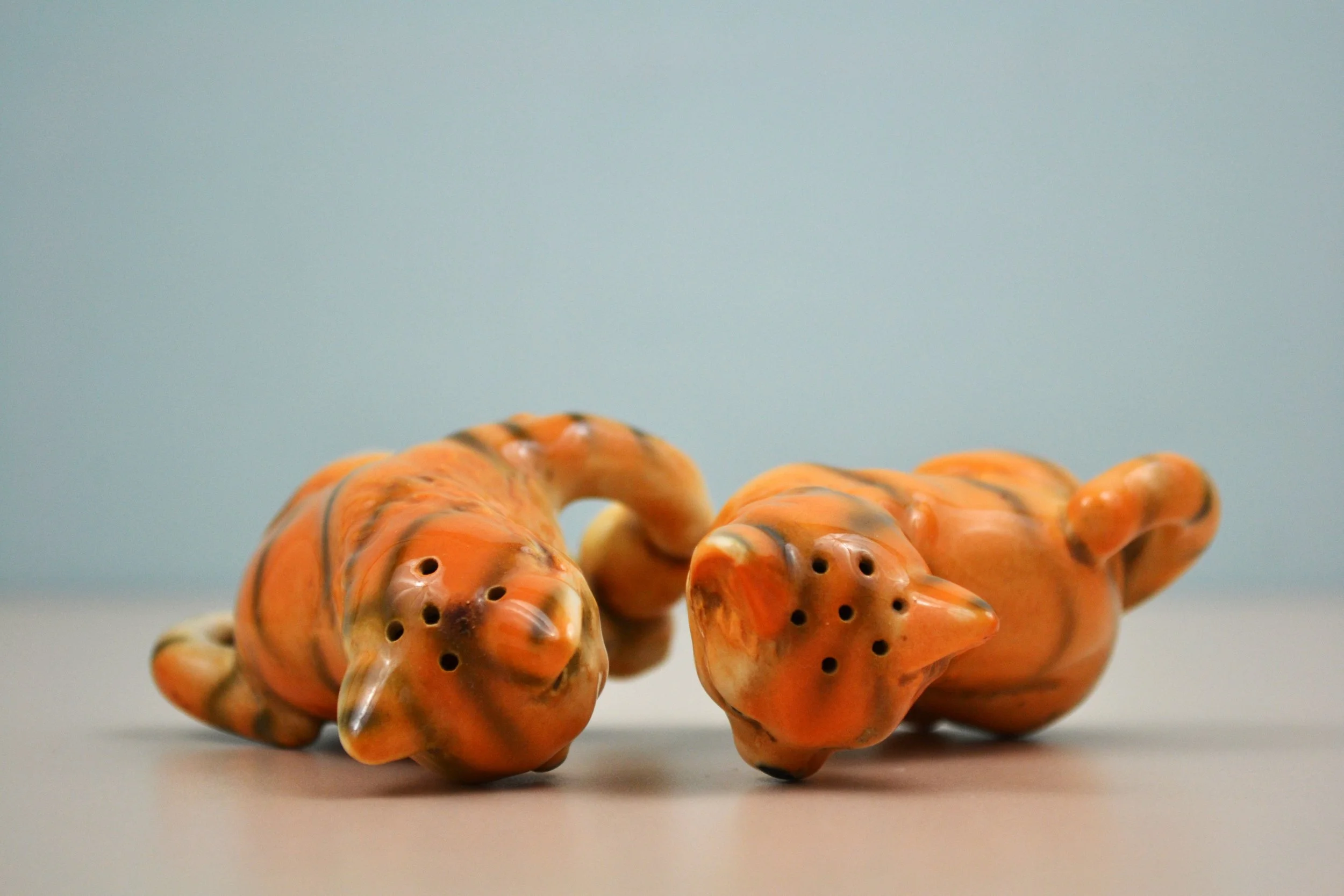 DSC_0009 - Copy (10).JPG