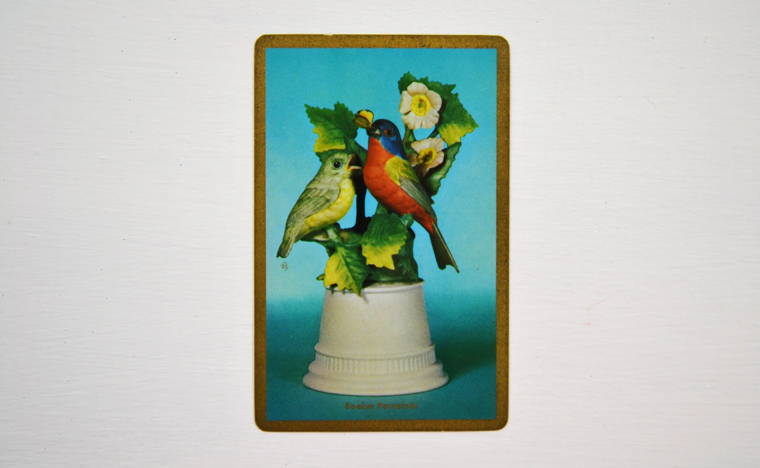 DSC_0002 - Copy (2).JPG