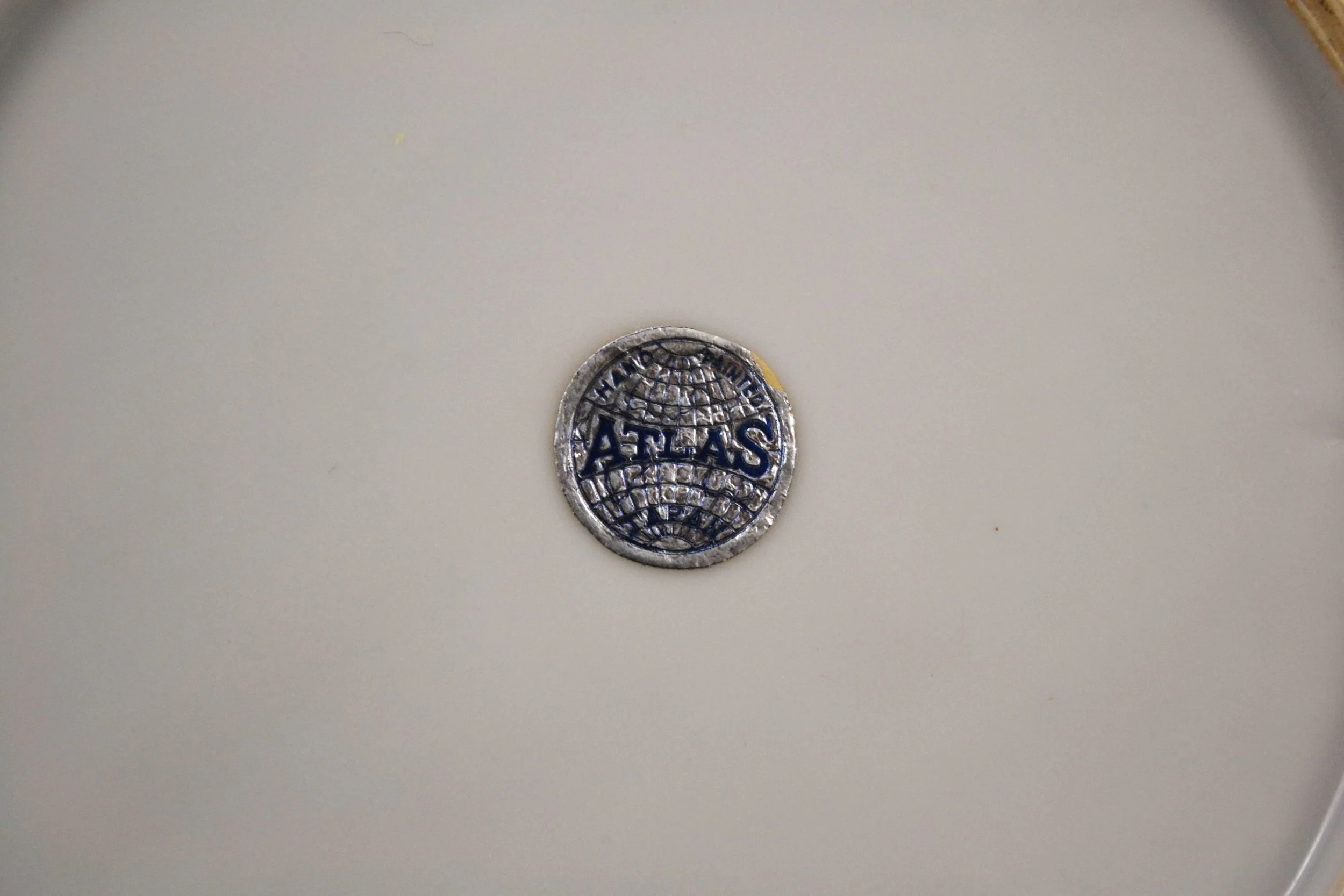 DSC_0009 - Copy (4).JPG