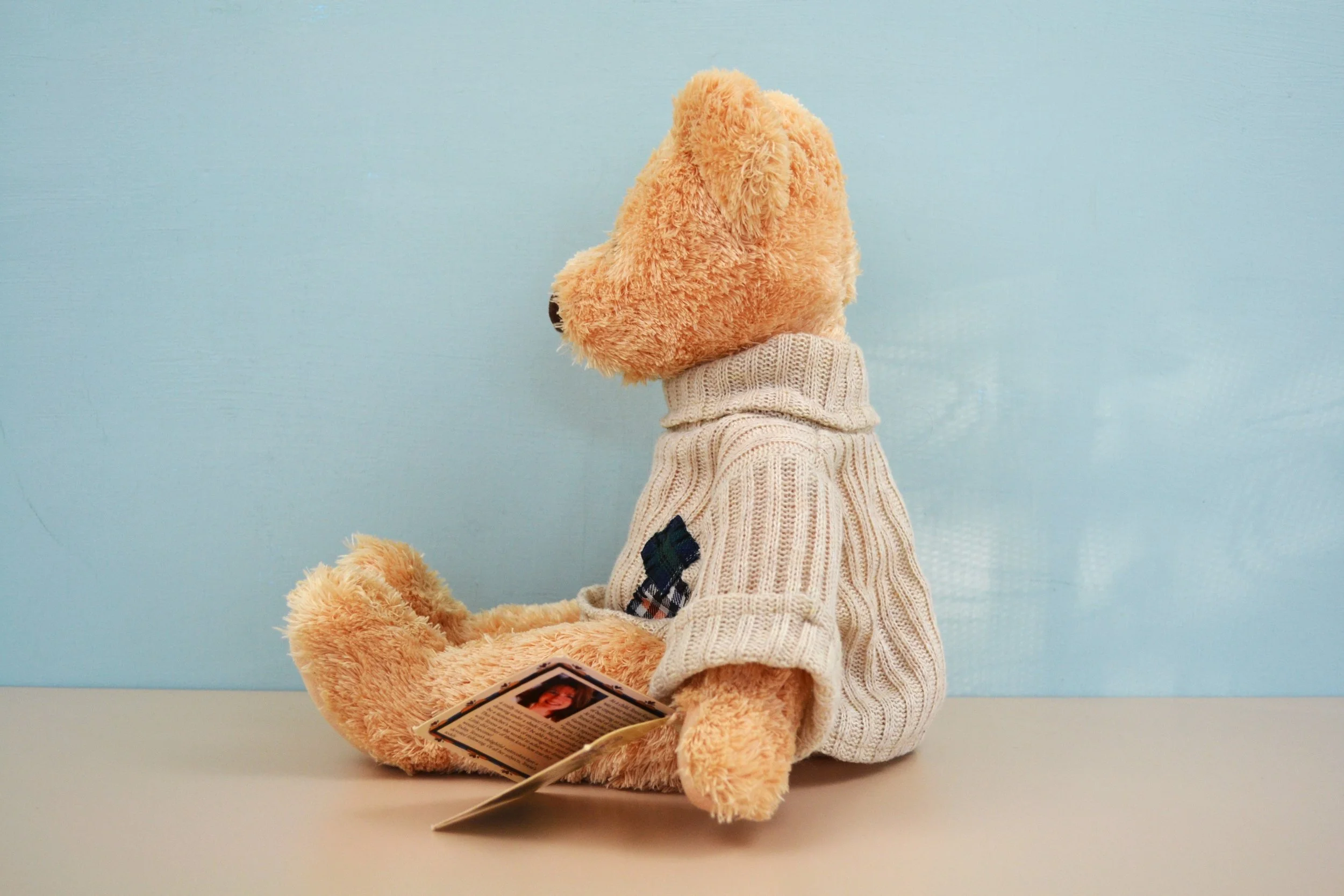 DSC_0002 - Copy (7).JPG