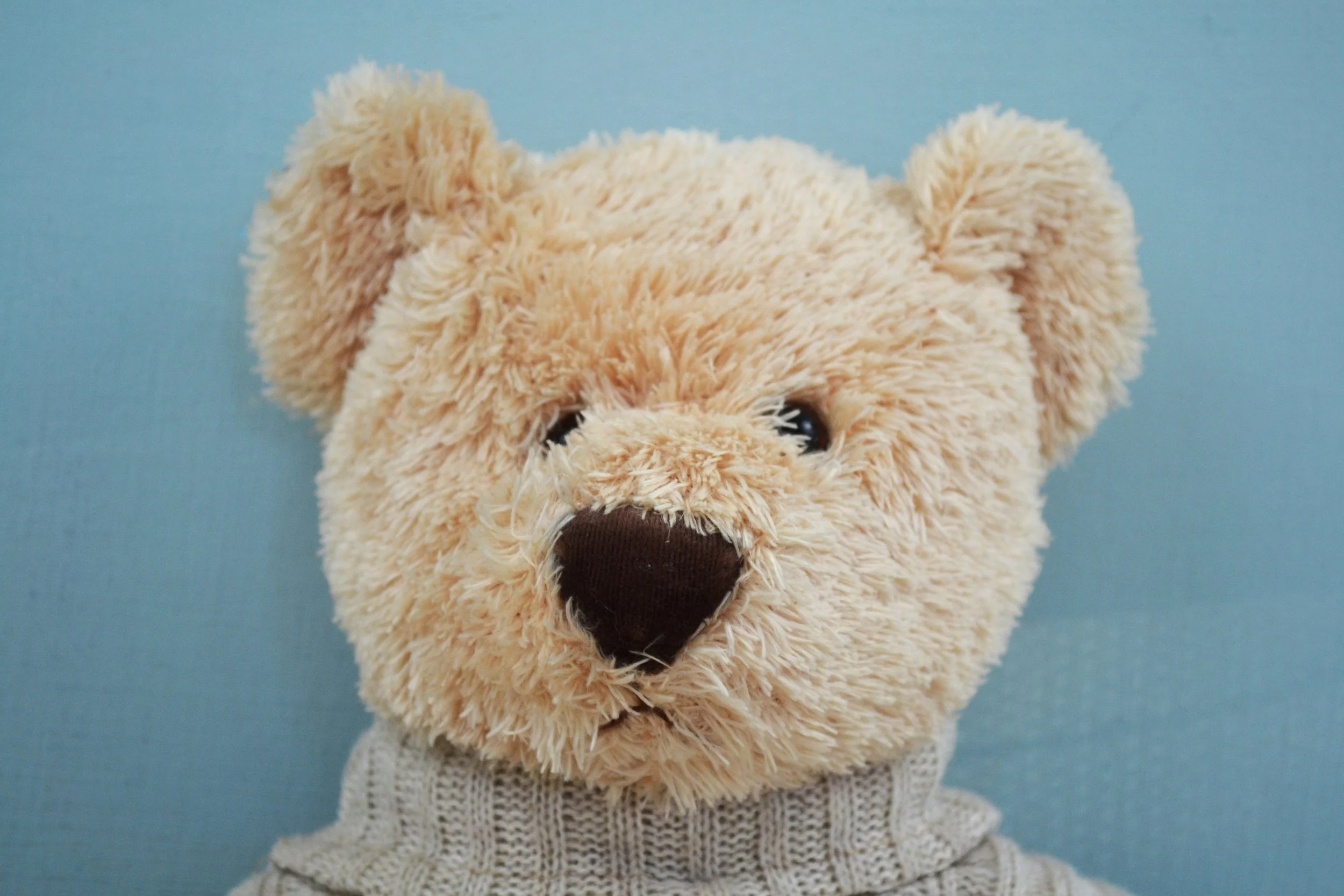 DSC_0014 - Copy (6).JPG