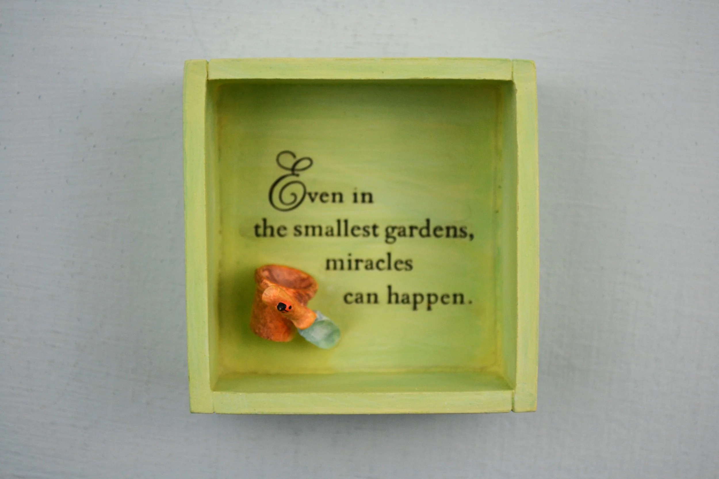 DSC_0009 - Copy (4).JPG