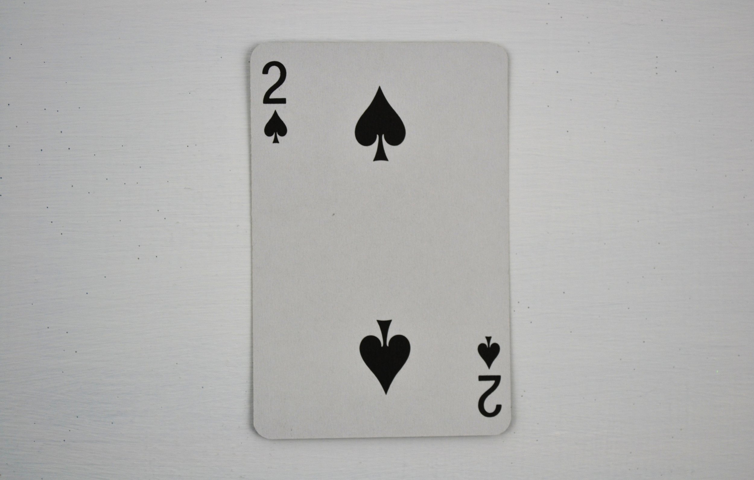 DSC_0014 - Copy (3).JPG