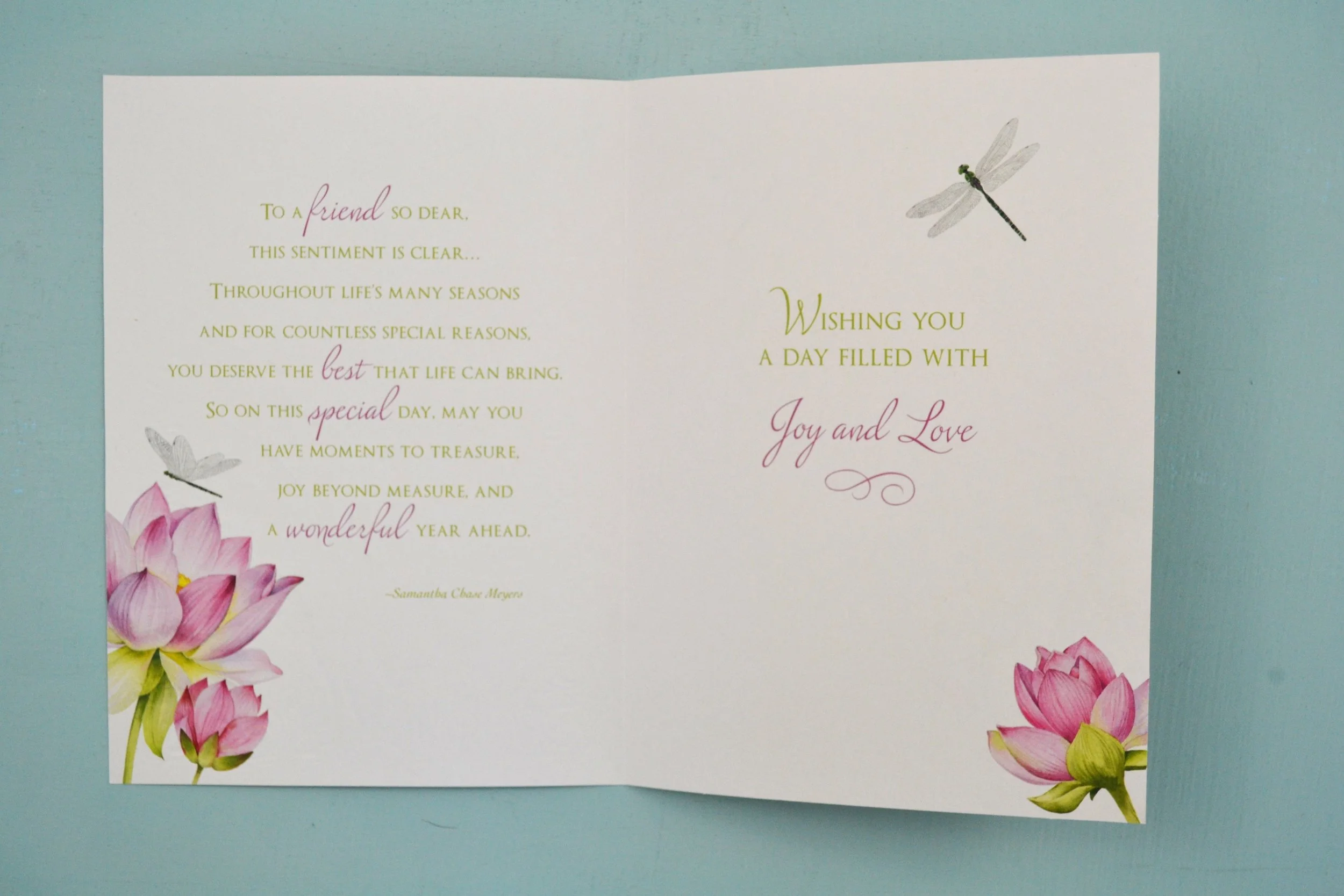 DSC_0016 - Copy (6).JPG