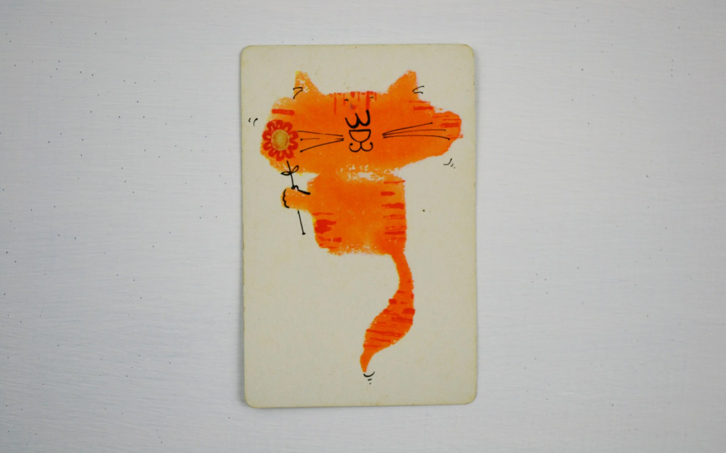 DSC_0017 - Copy (2).JPG